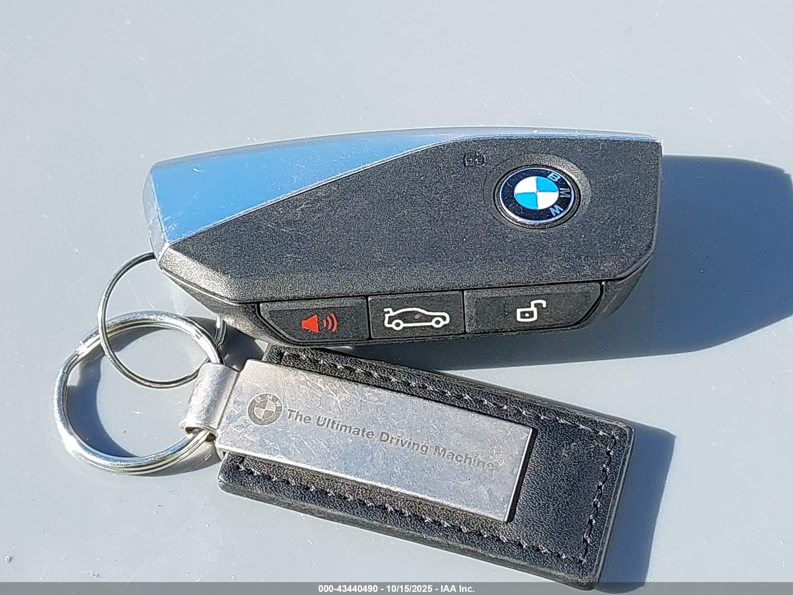 BMW IX image 11