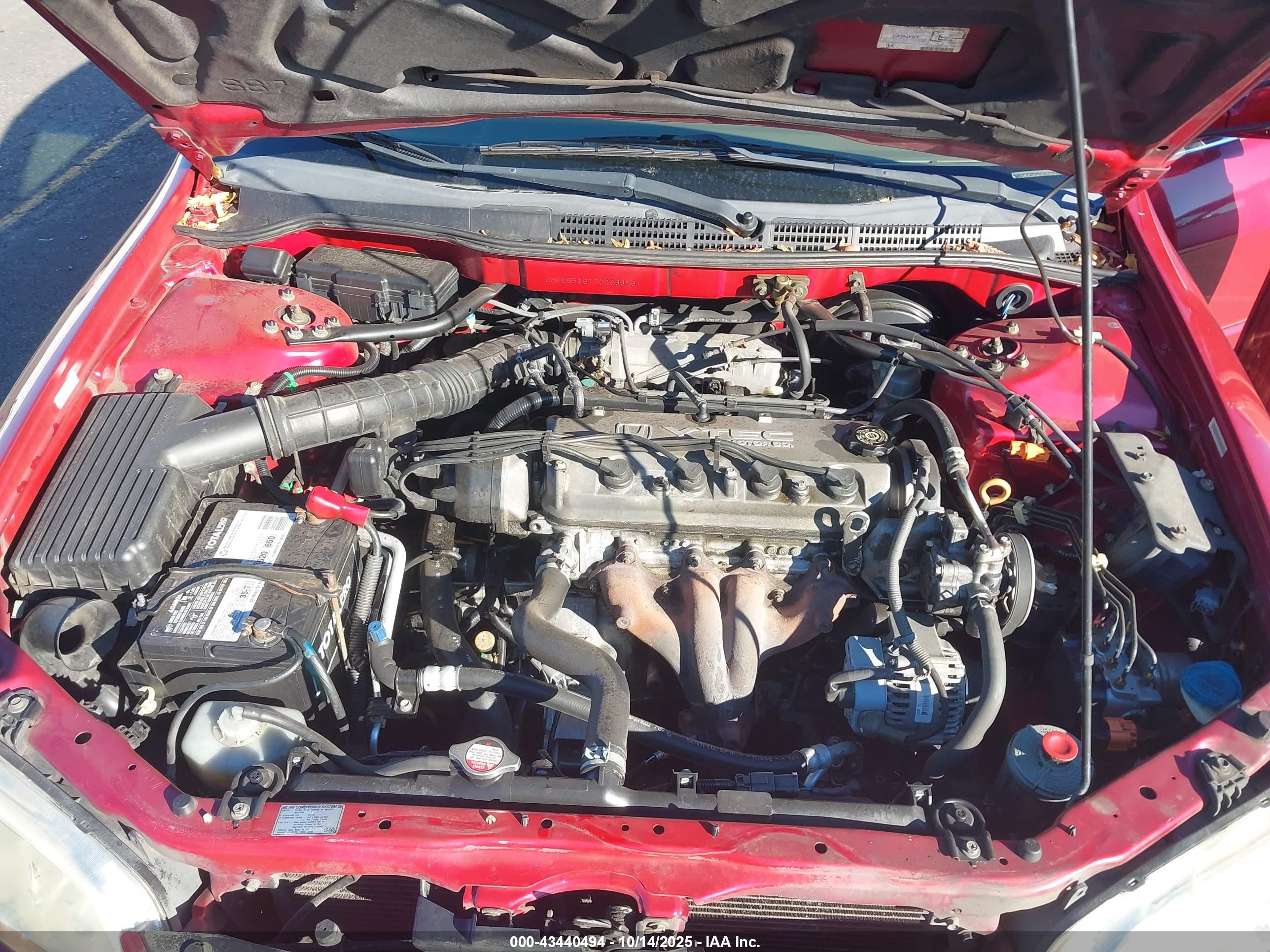 HONDA ACCORD image 10