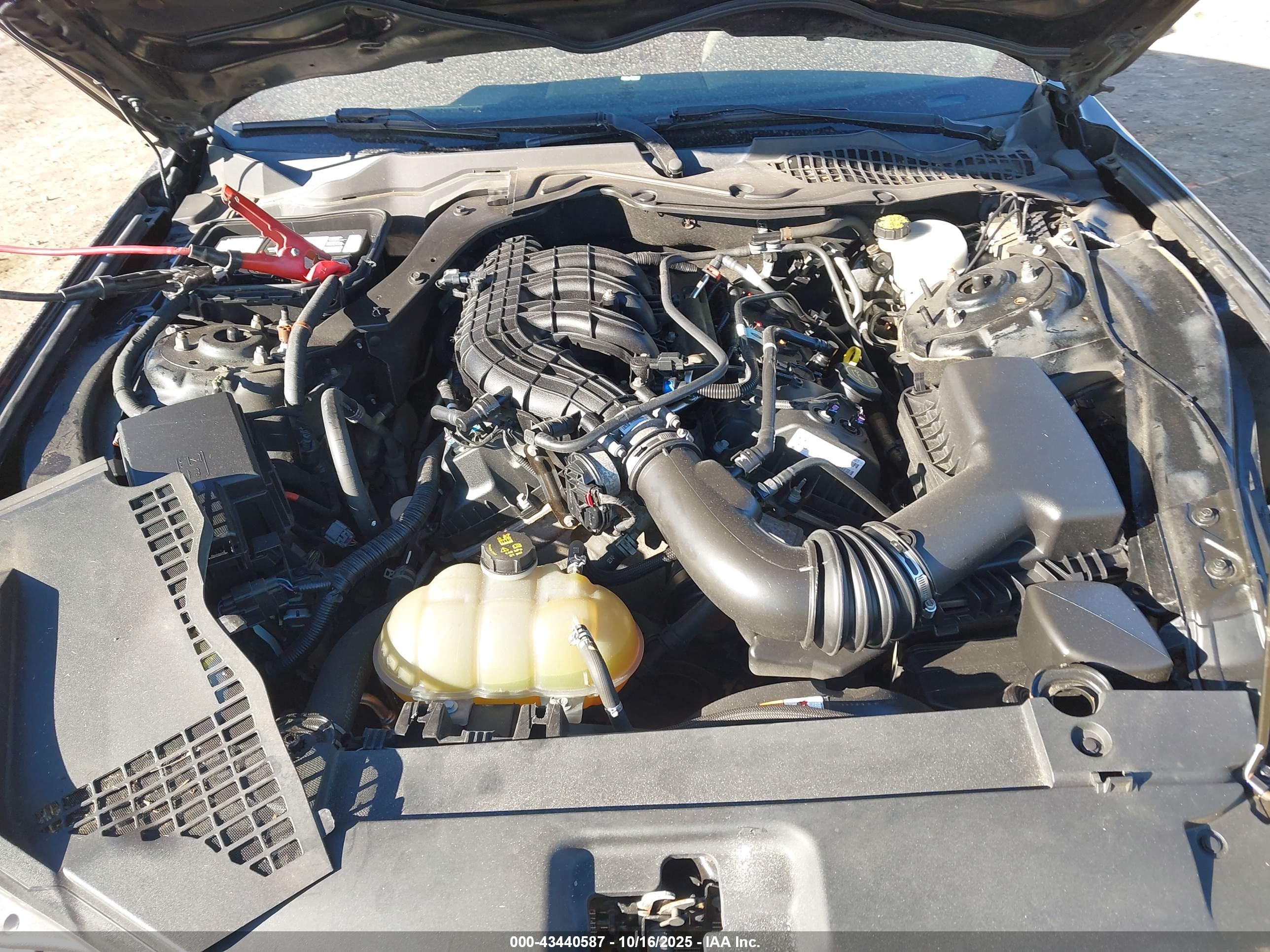 FORD MUSTANG image 10