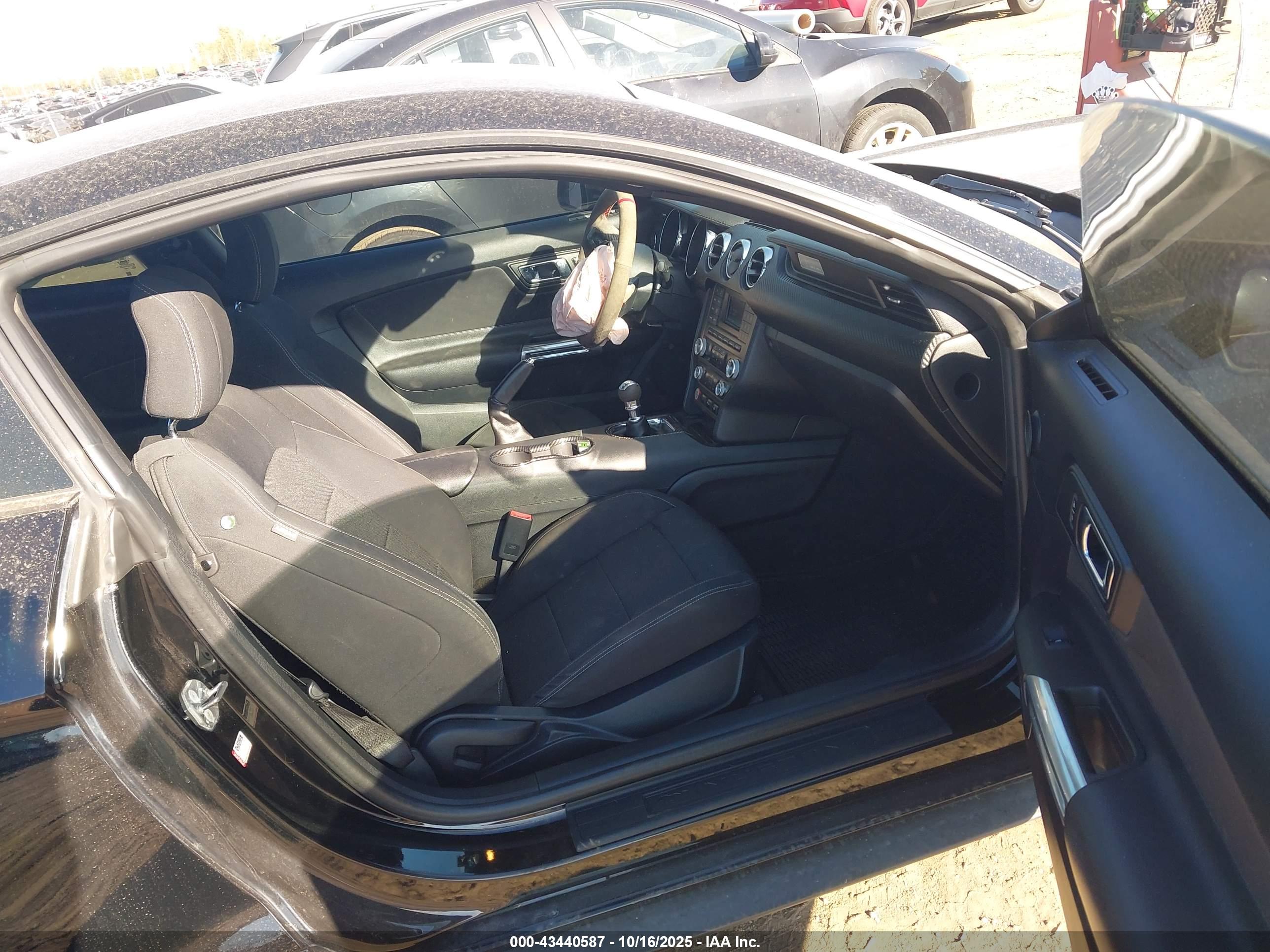 FORD MUSTANG image 5