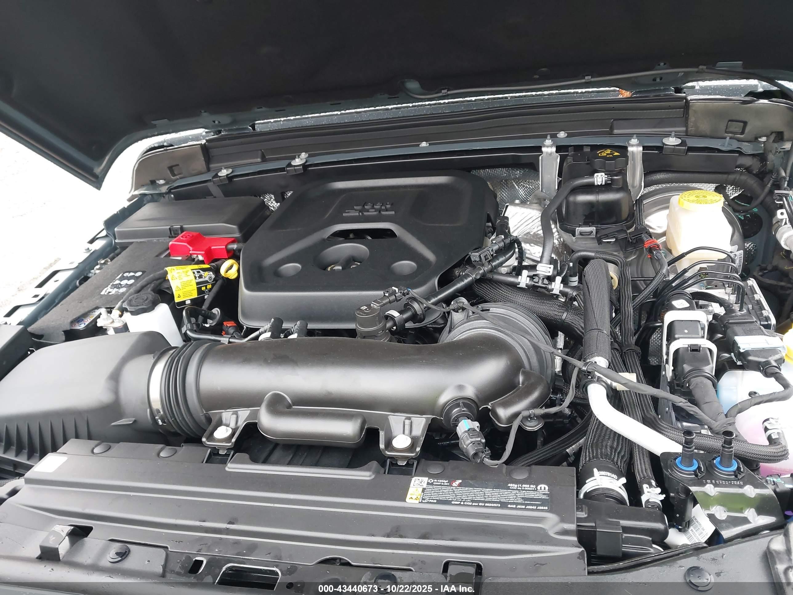 JEEP WRANGLER image 10