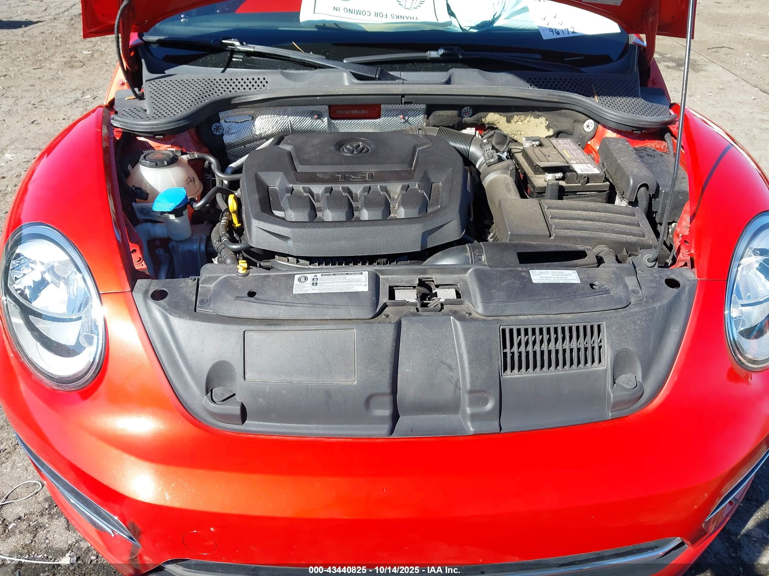 VOLKSWAGEN BEETLE image 10