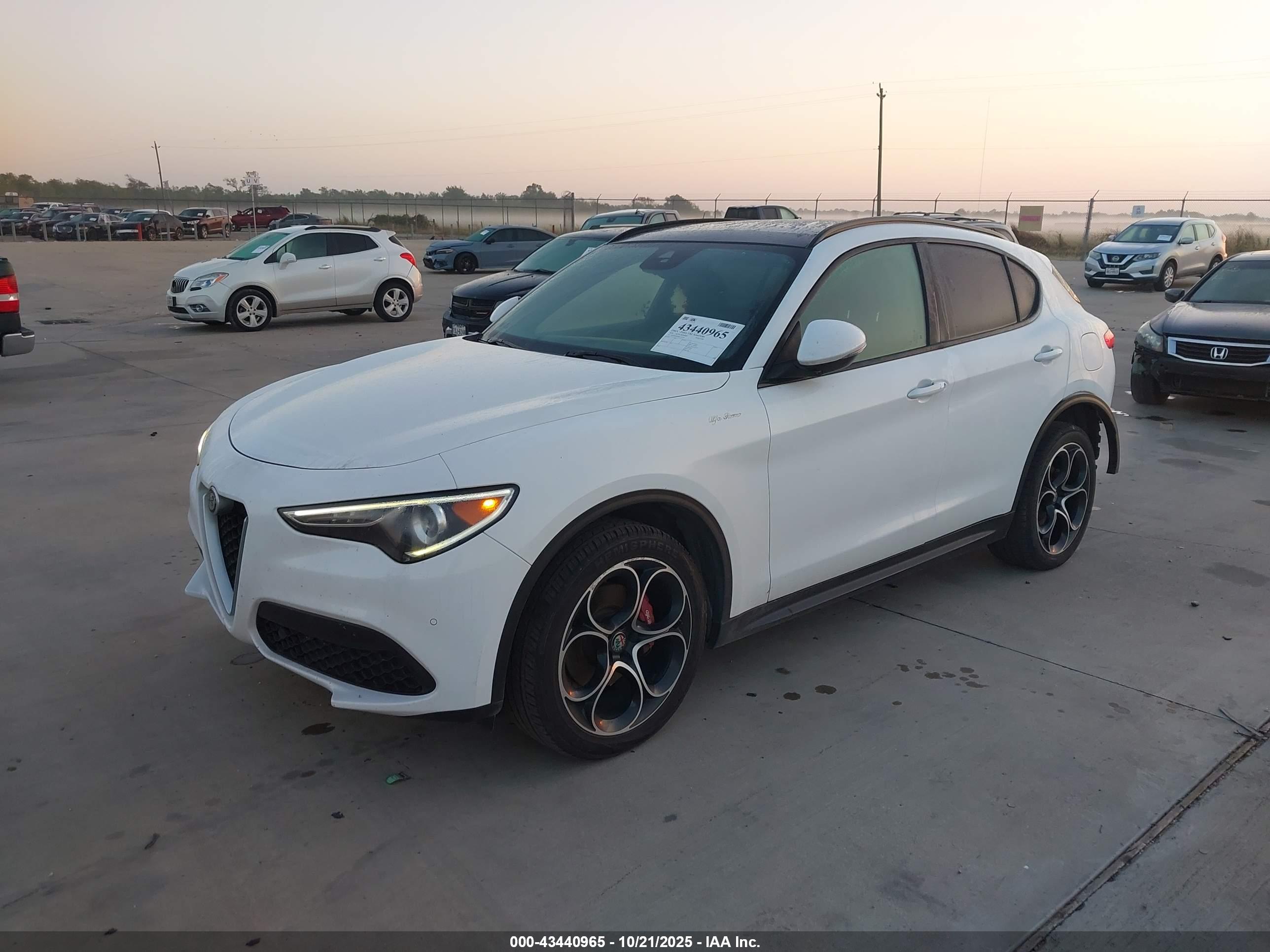 ALFA ROMEO image 2
