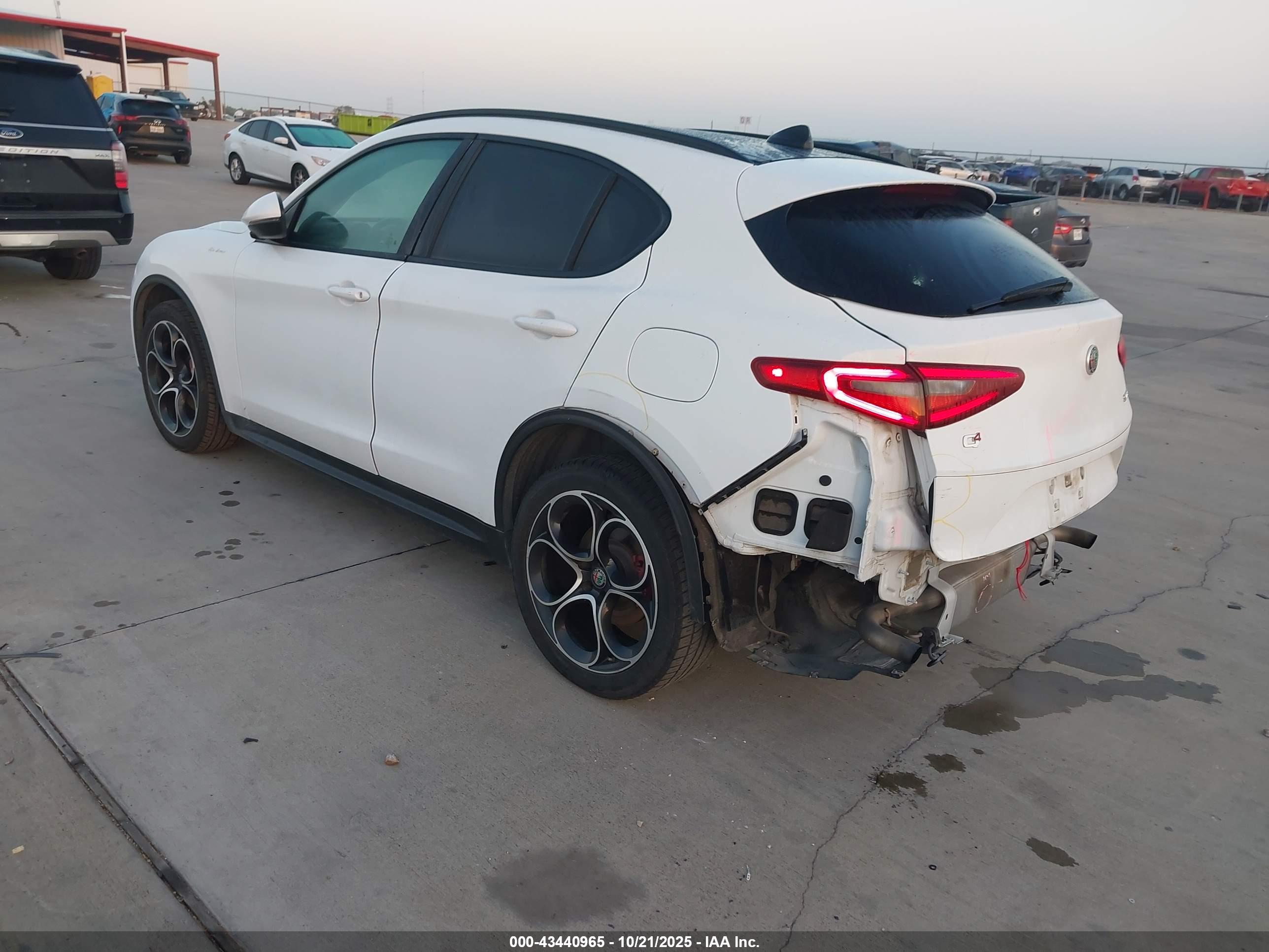 ALFA ROMEO image 3