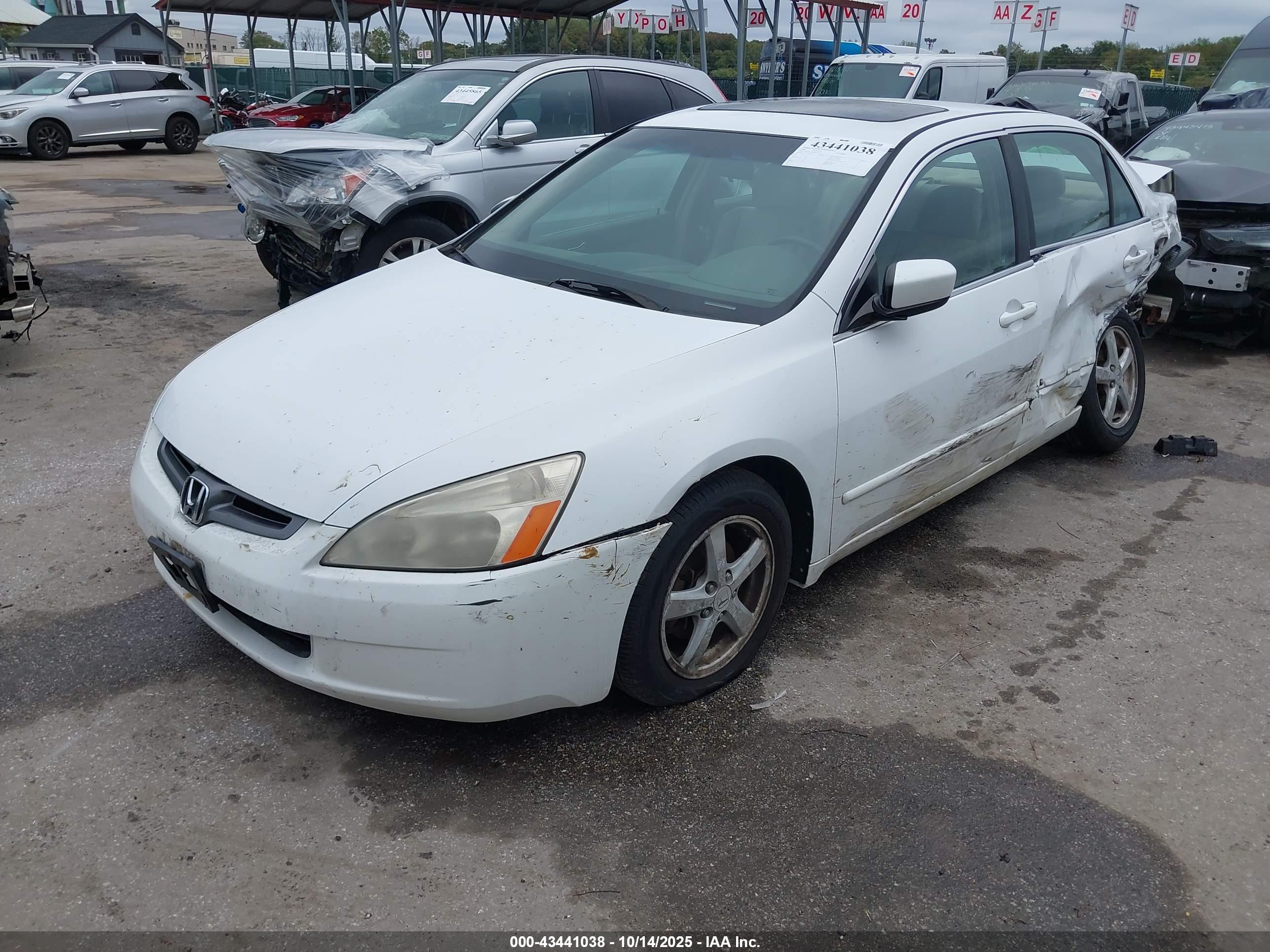HONDA ACCORD image 2