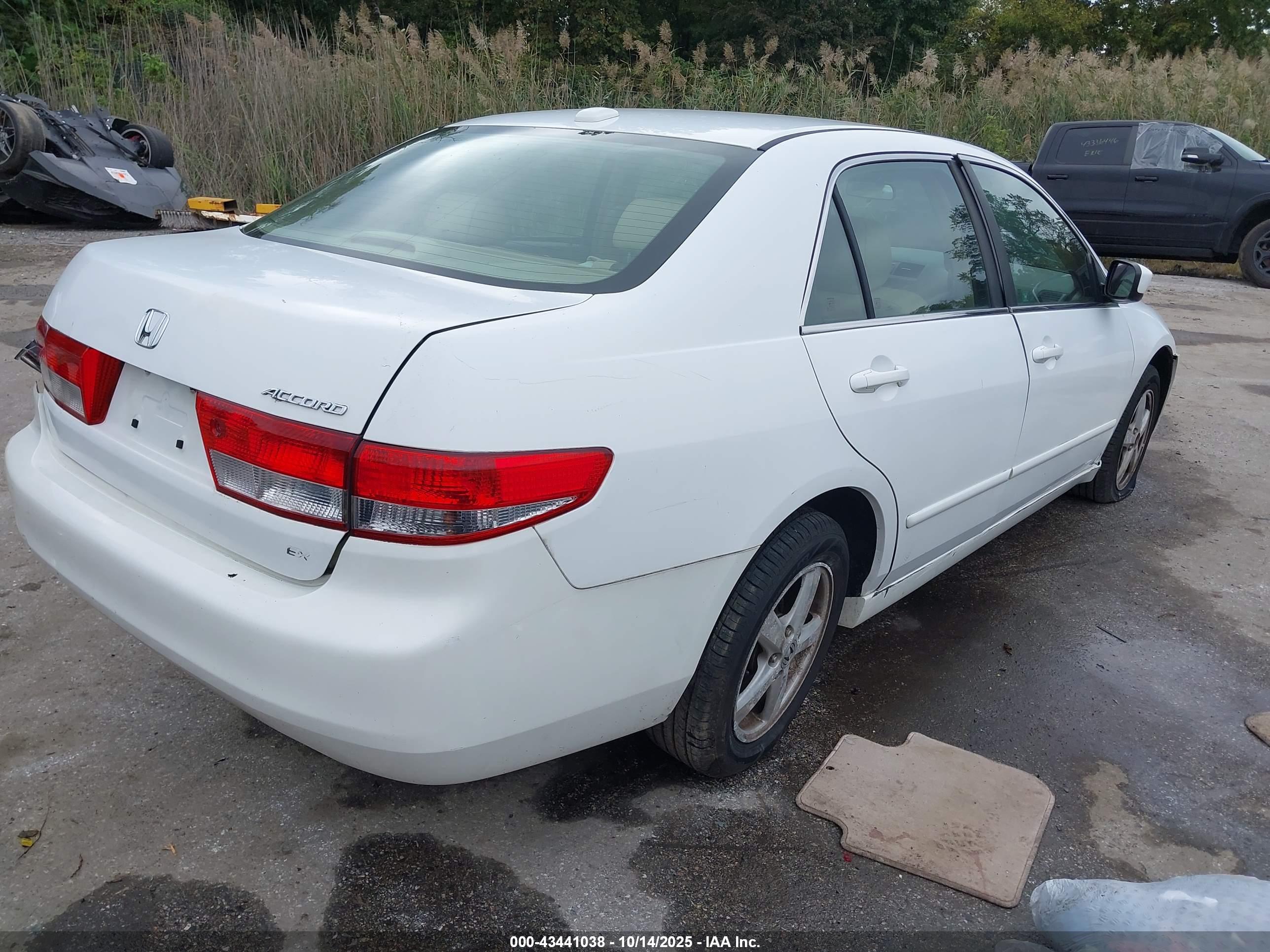 HONDA ACCORD image 4
