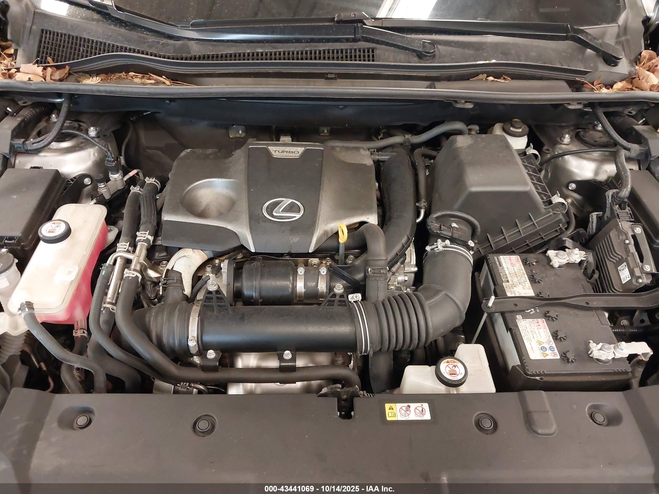 LEXUS NX image 10