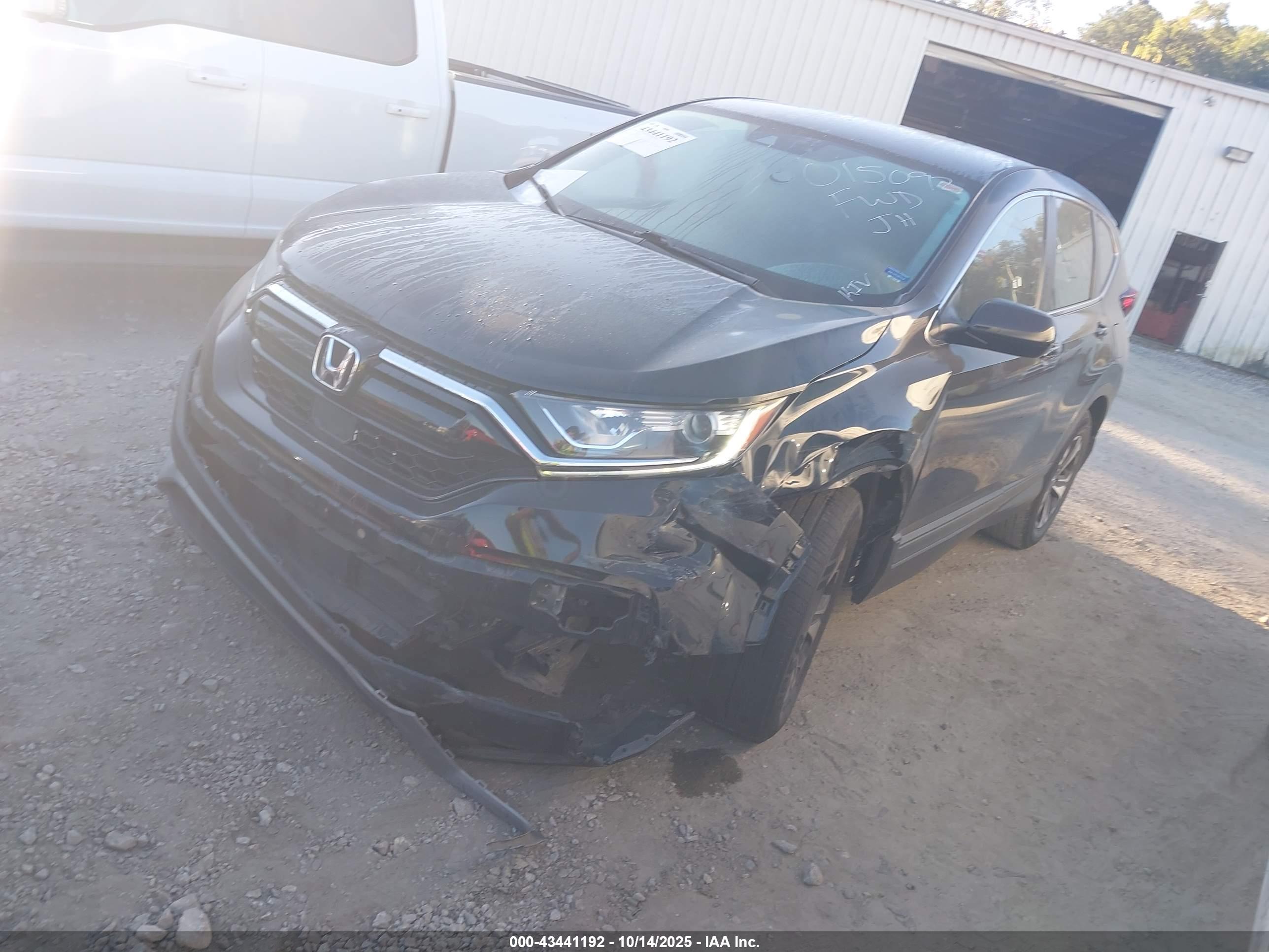 HONDA CR-V image 2