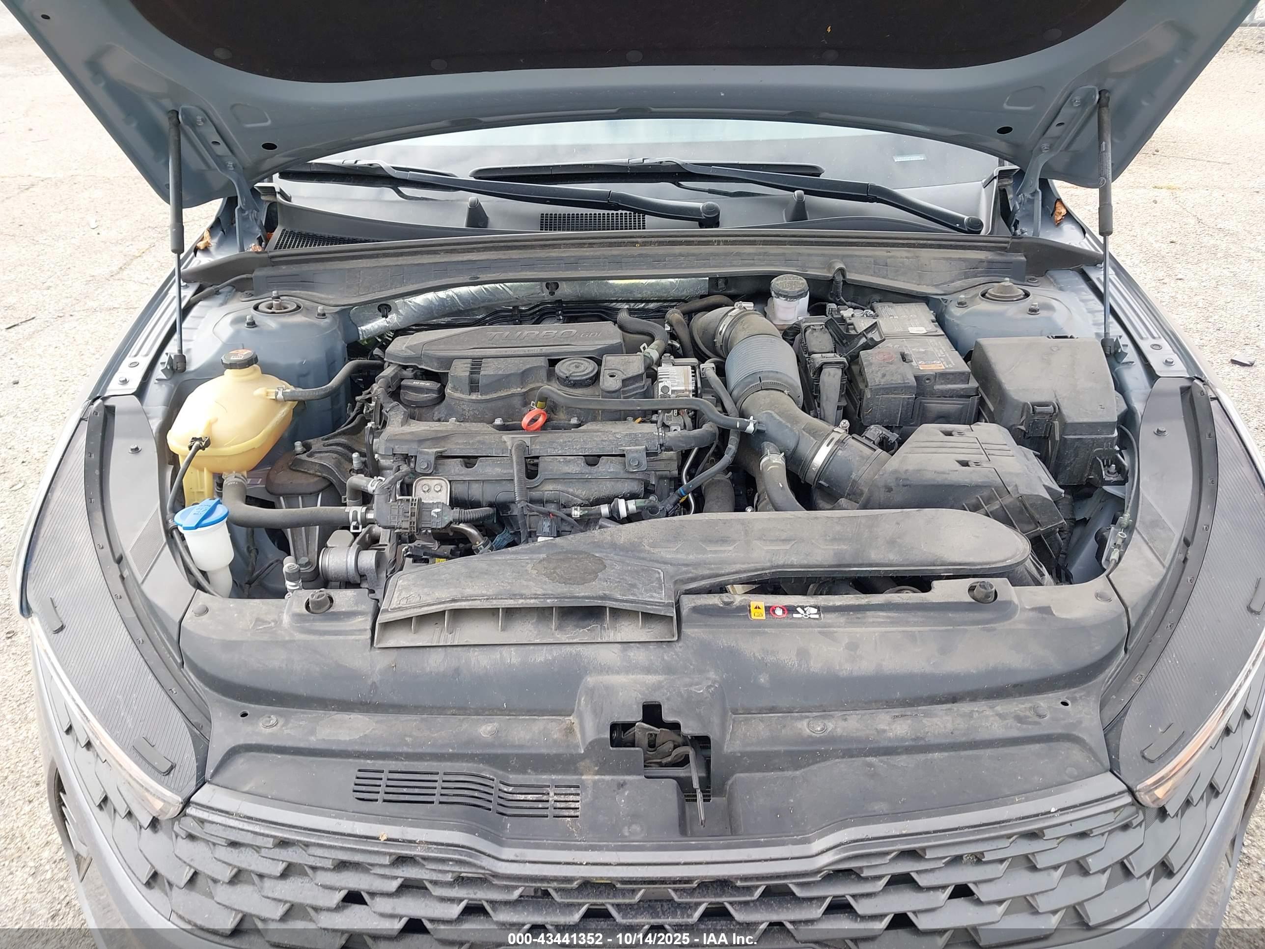 KIA K5 image 10