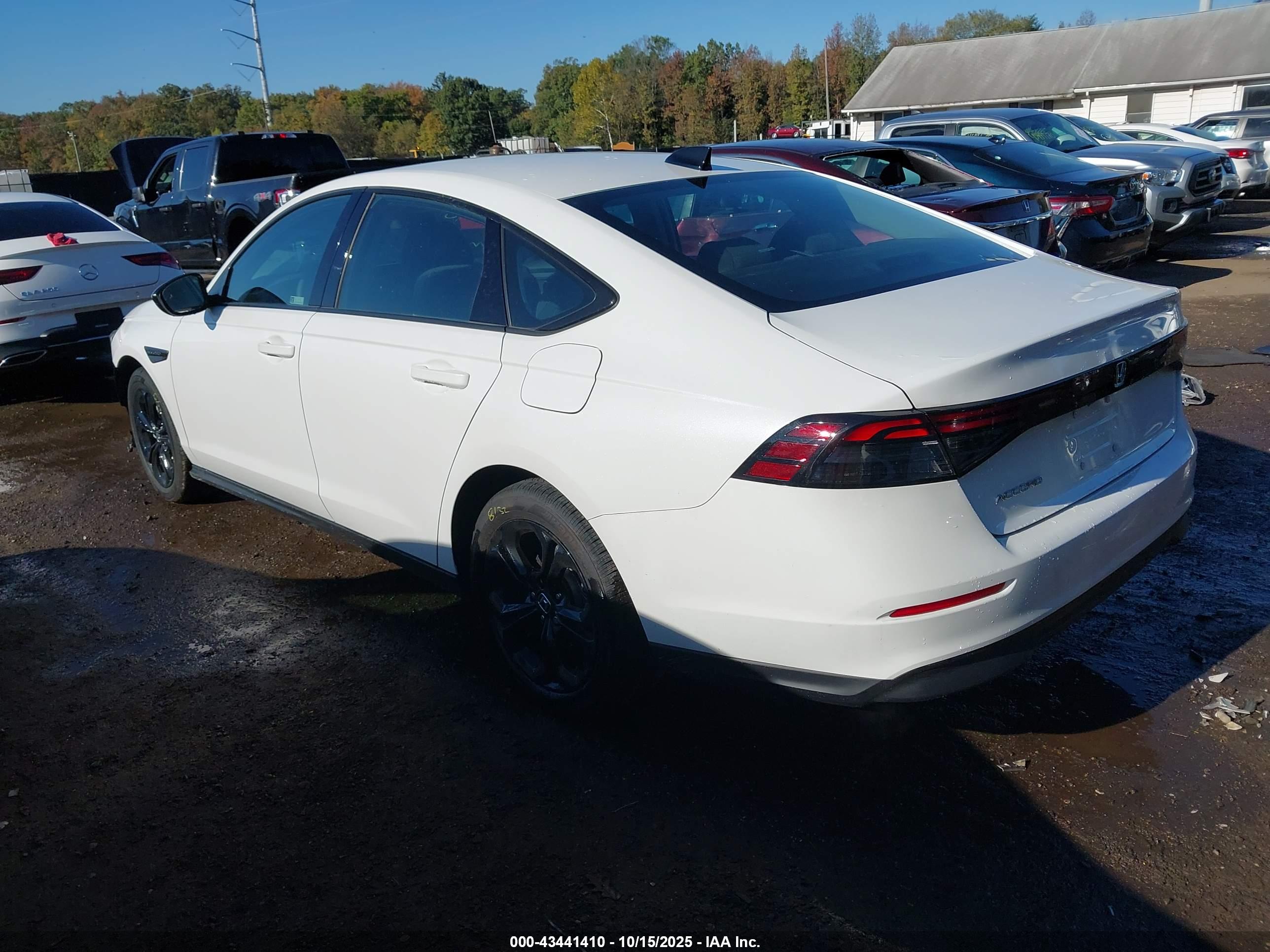 HONDA ACCORD image 3