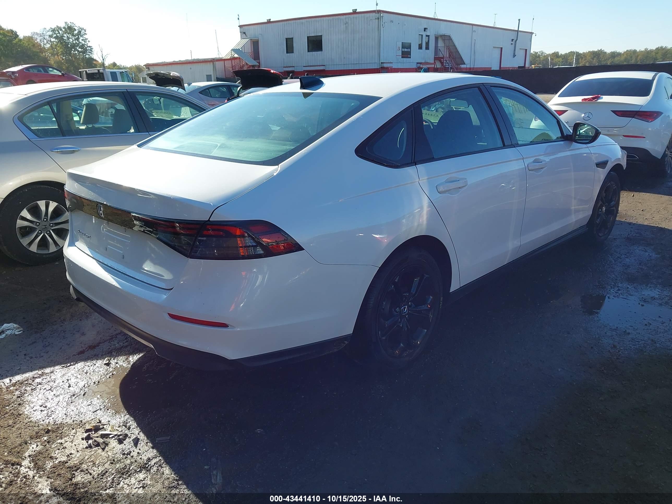 HONDA ACCORD image 4
