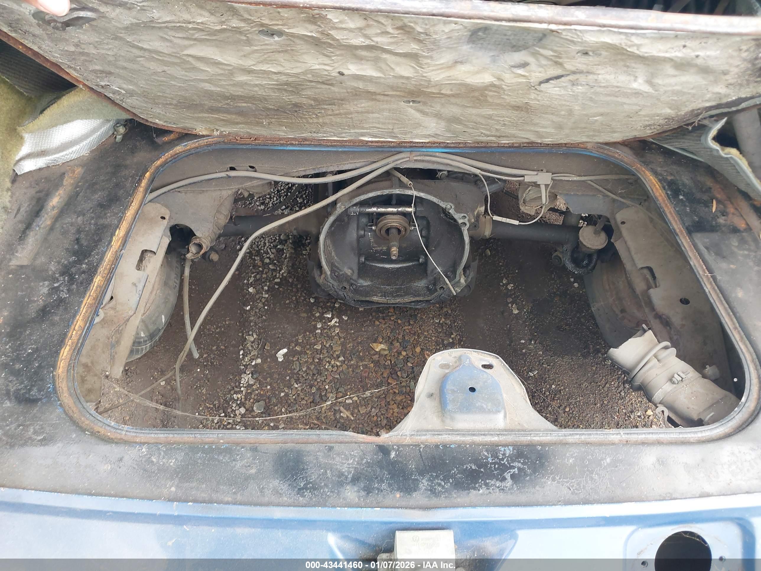 VOLKSWAGEN TYPE image 10
