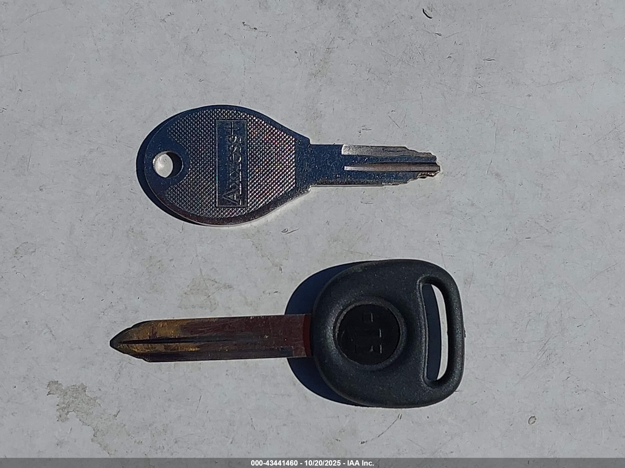 VOLKSWAGEN TYPE image 11