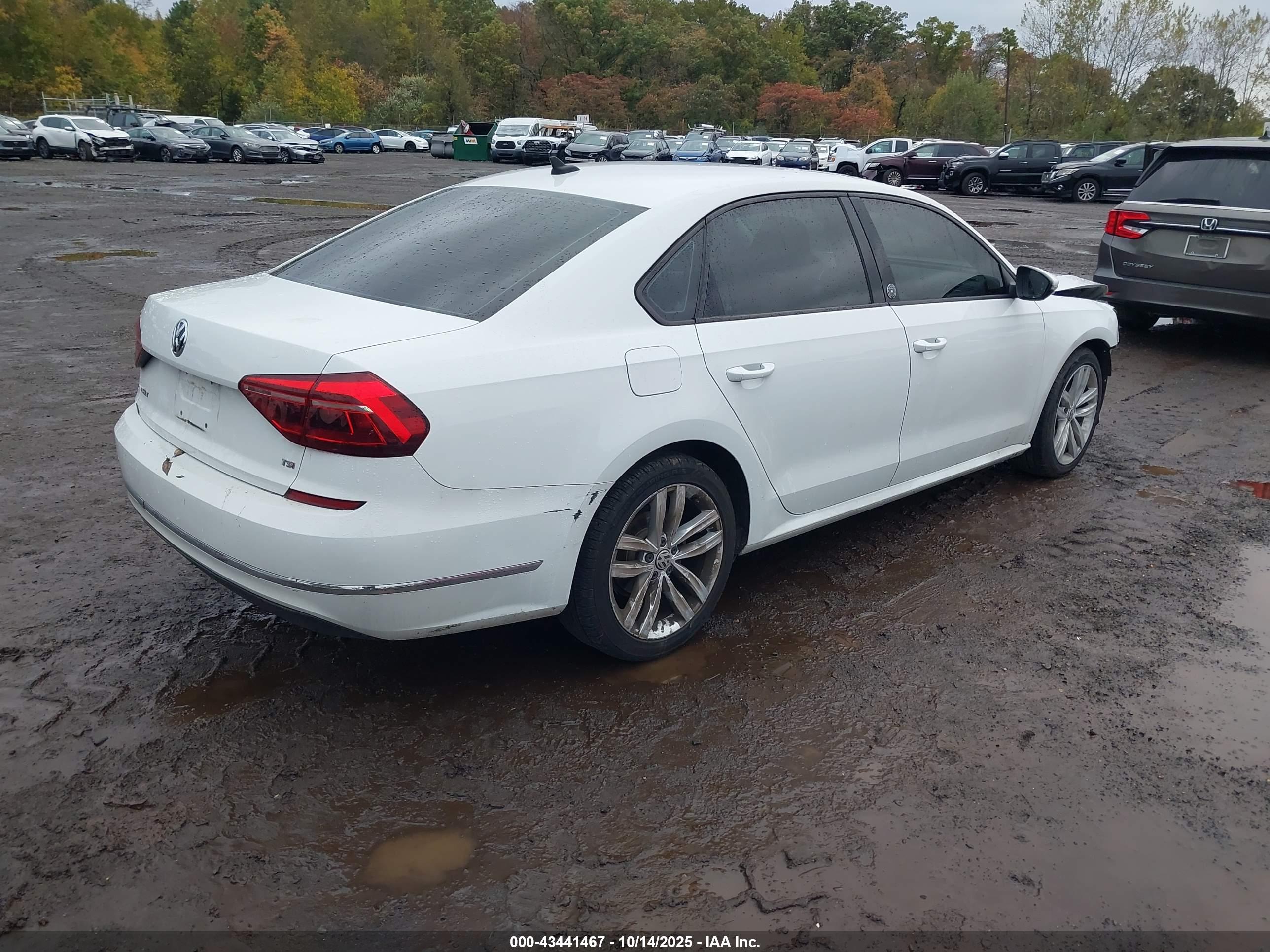 VOLKSWAGEN PASSAT image 4