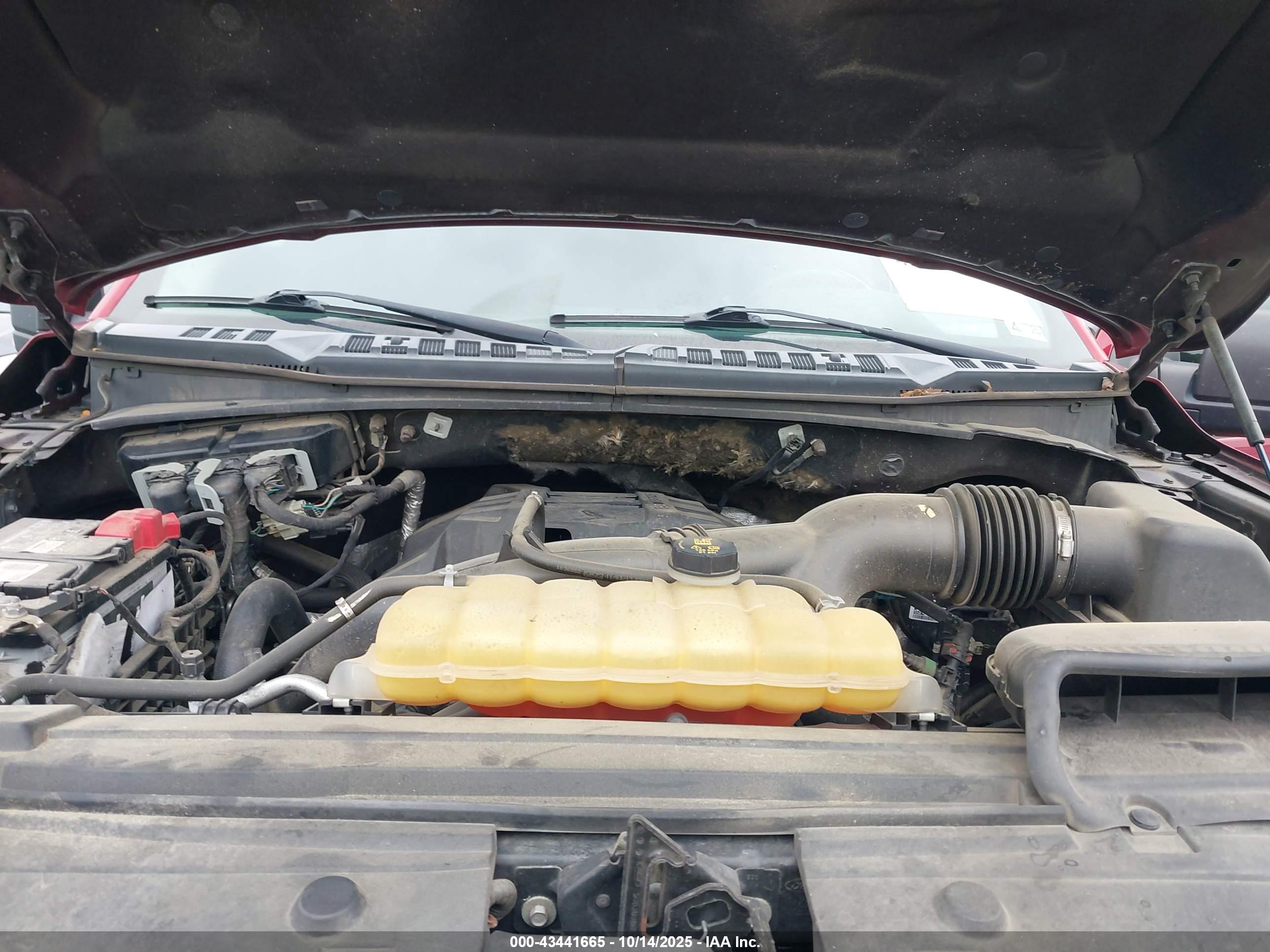 FORD F-150 image 10