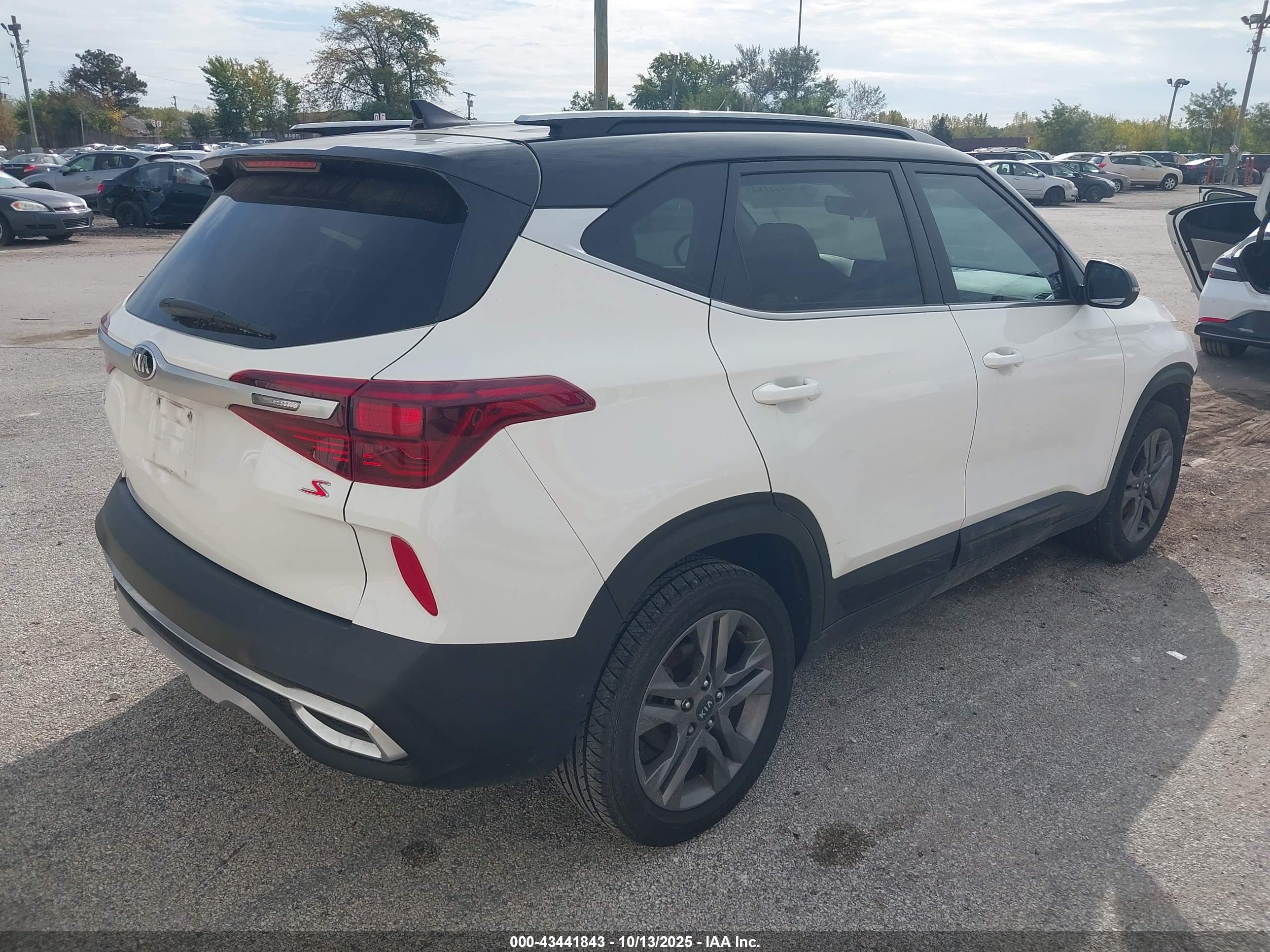 KIA SELTOS image 4