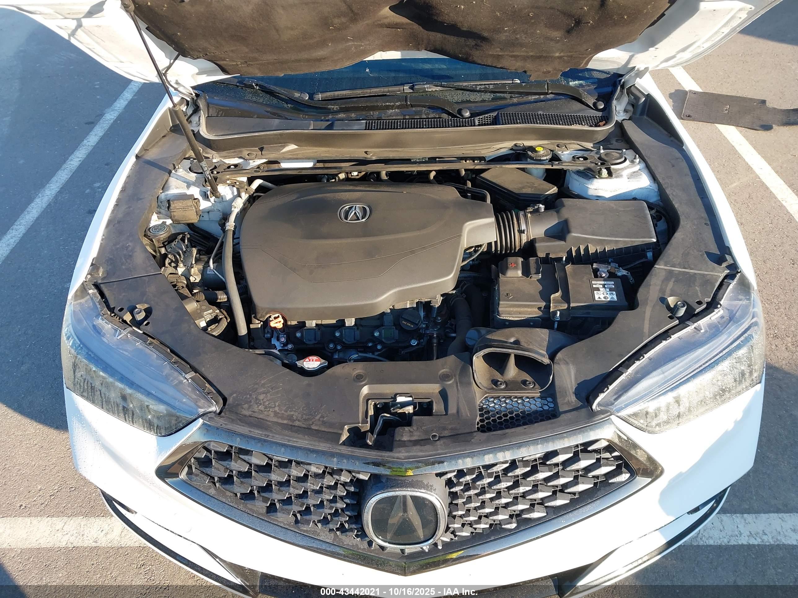 ACURA TLX image 10