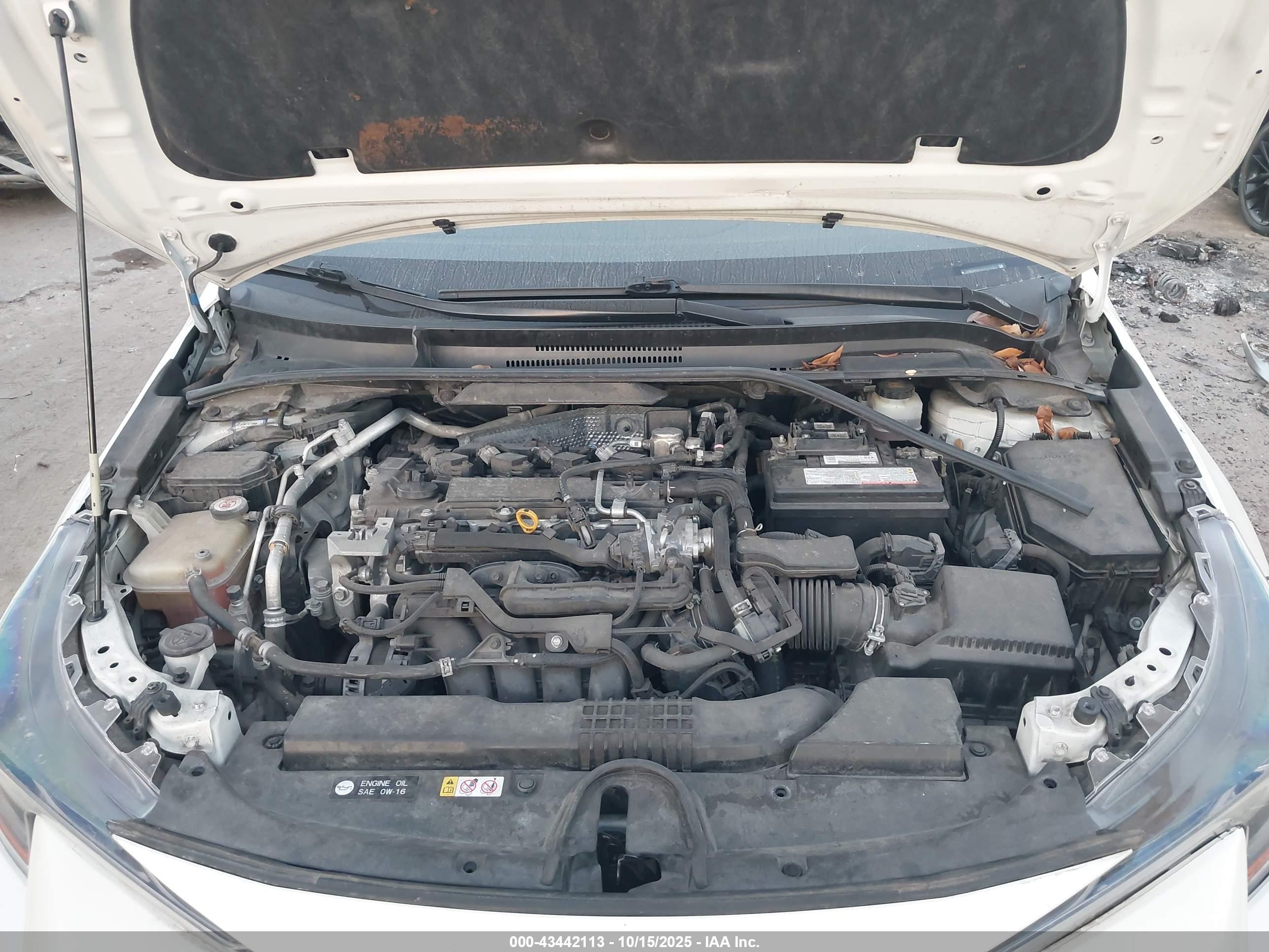 TOYOTA COROLLA image 10