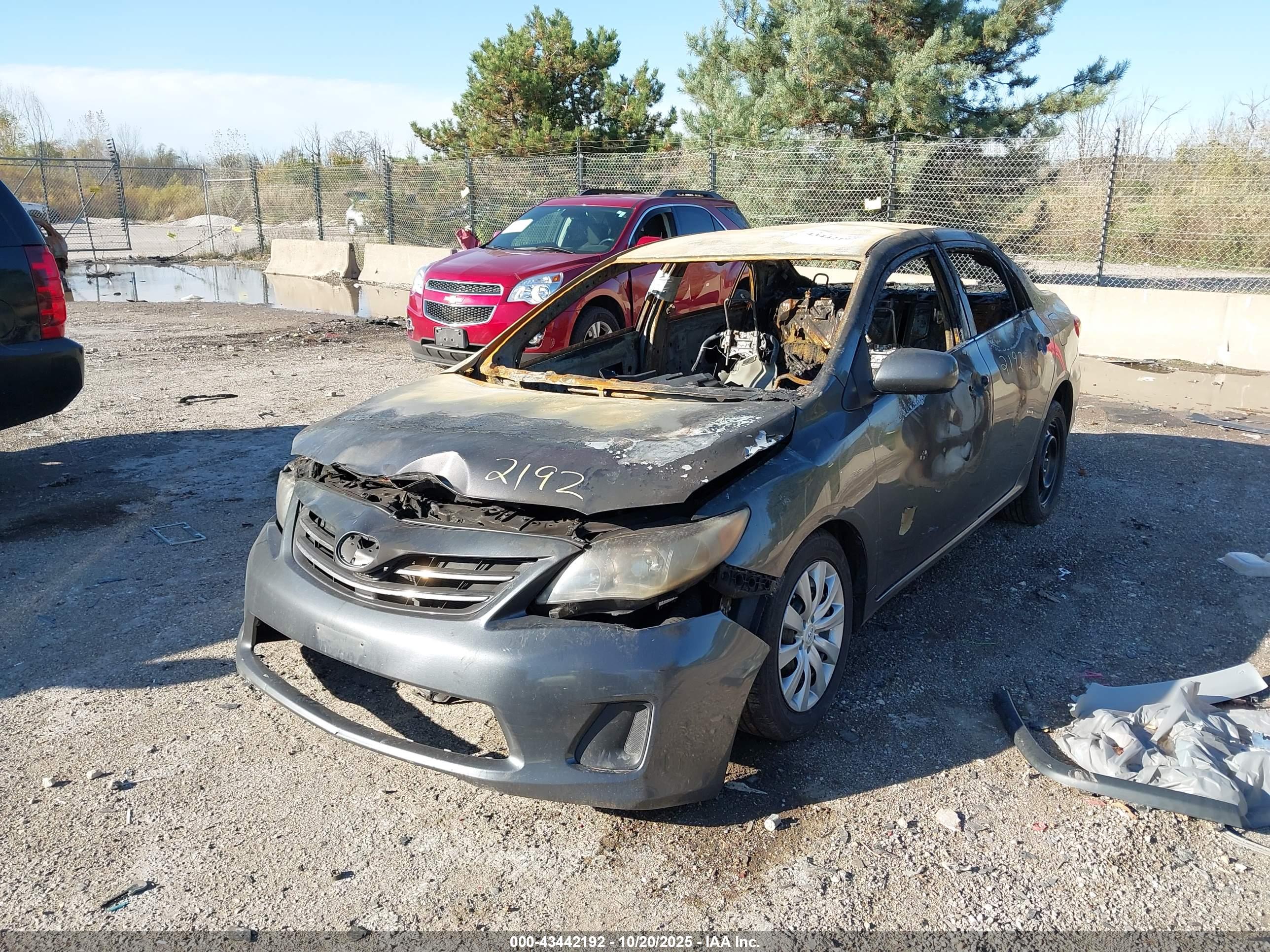 TOYOTA COROLLA image 6