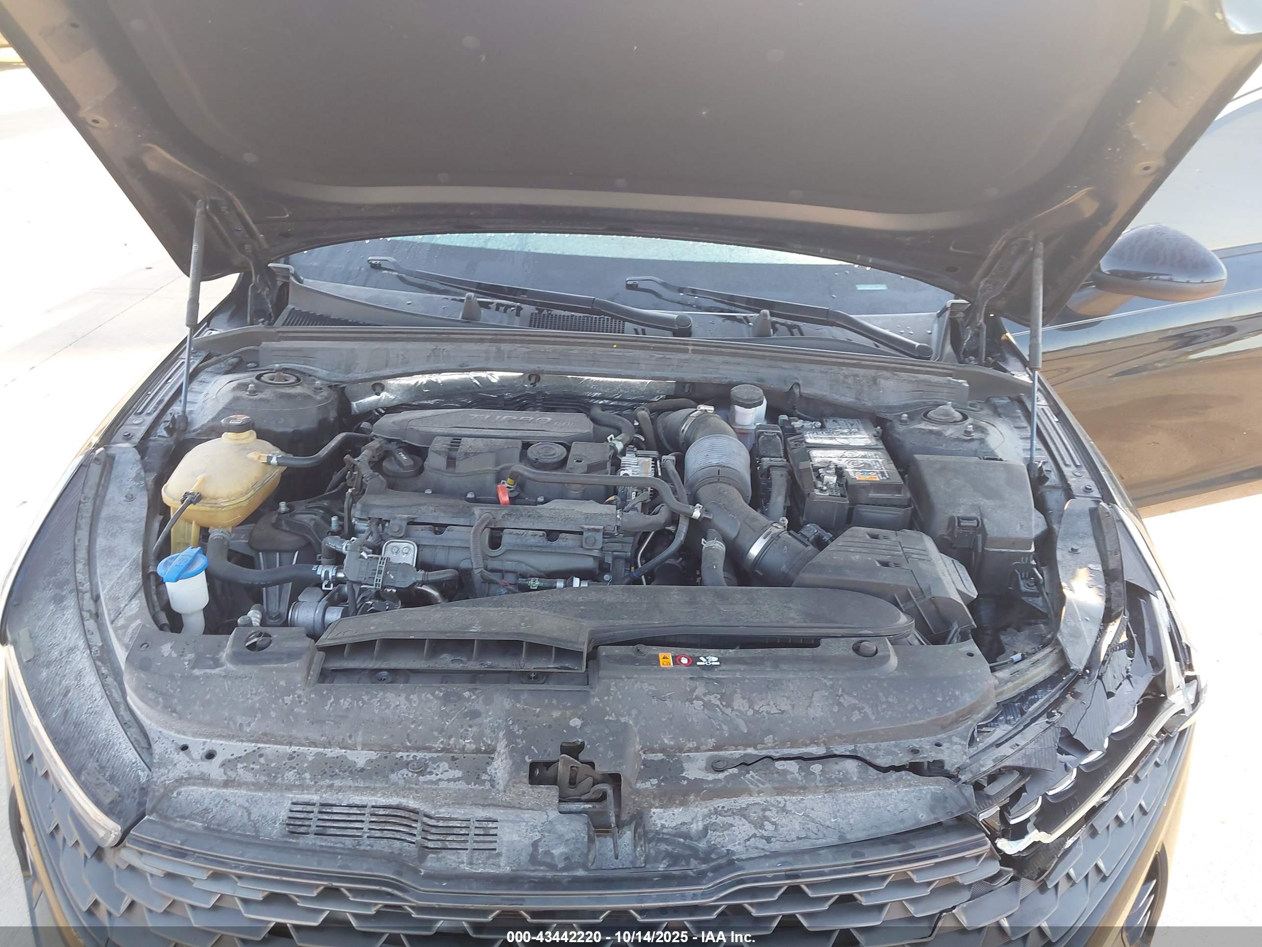 KIA K5 image 10