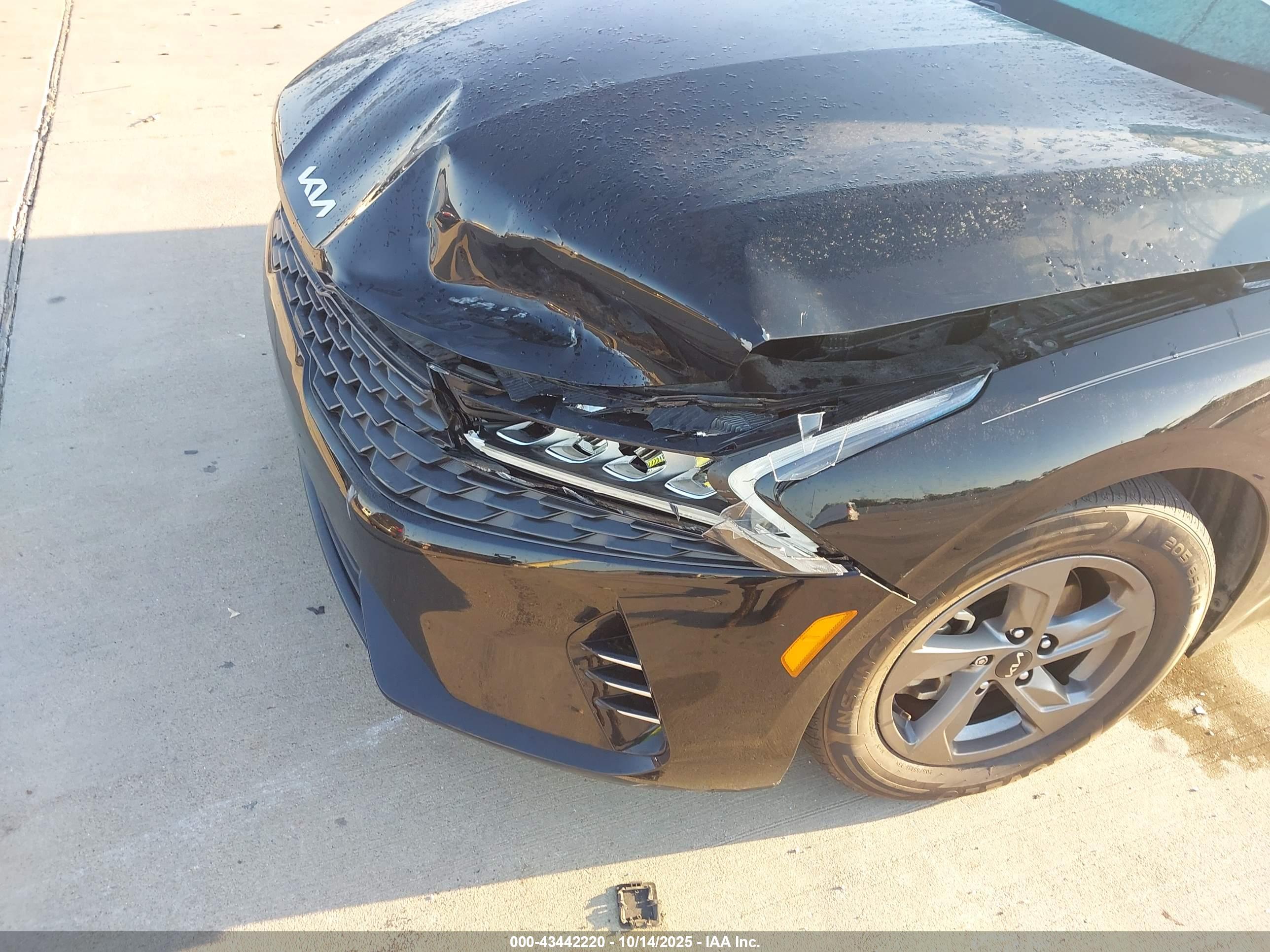 KIA K5 image 6