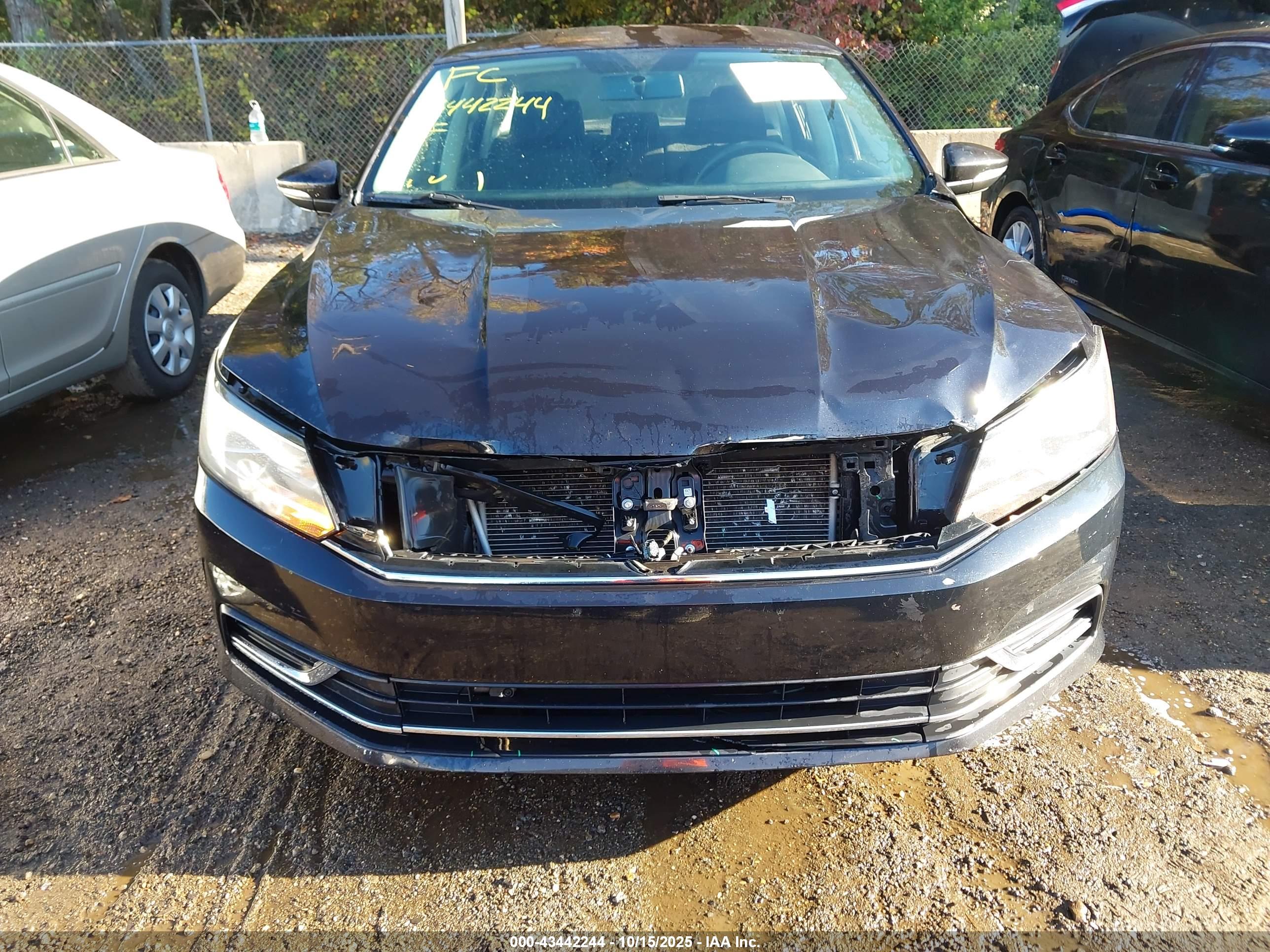 VOLKSWAGEN PASSAT image 6