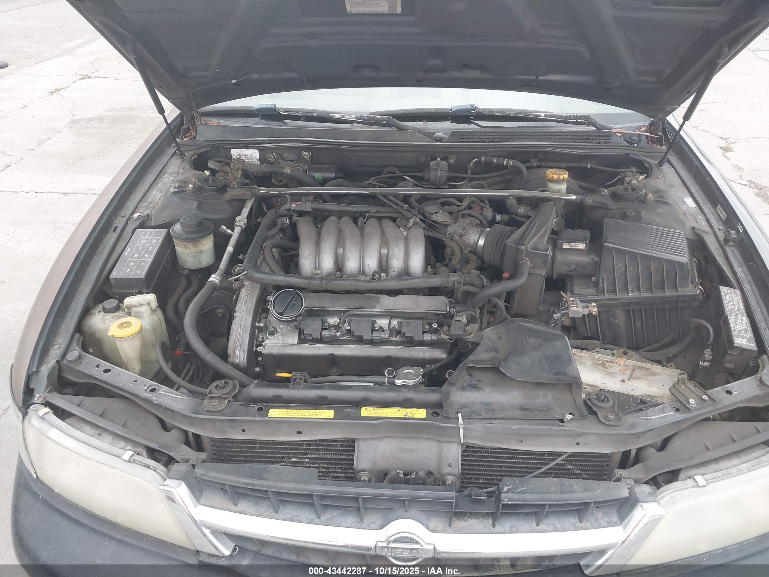 NISSAN MAXIMA image 10