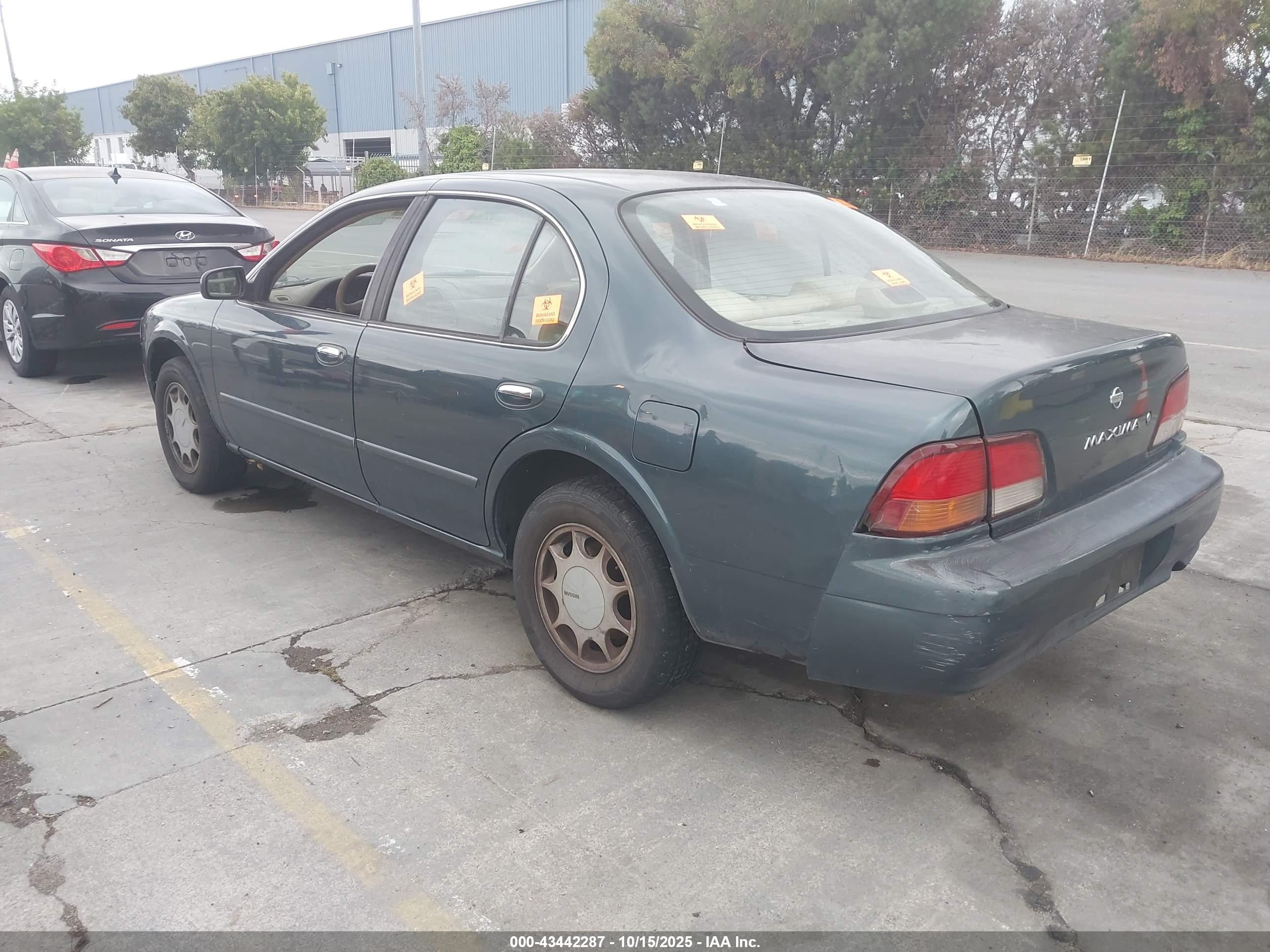 NISSAN MAXIMA image 3