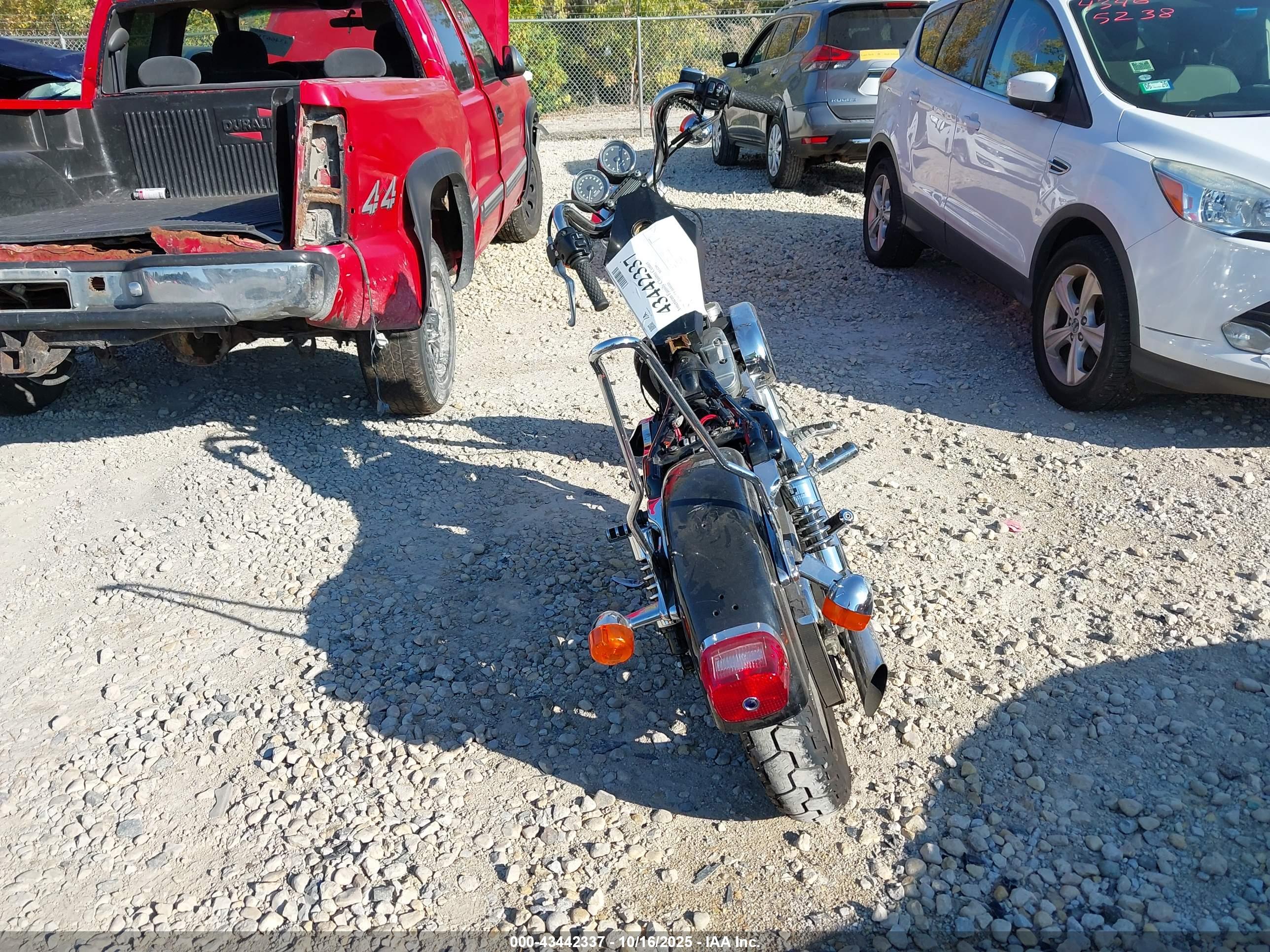 HARLEY-DAVIDSON XL1200 image 6