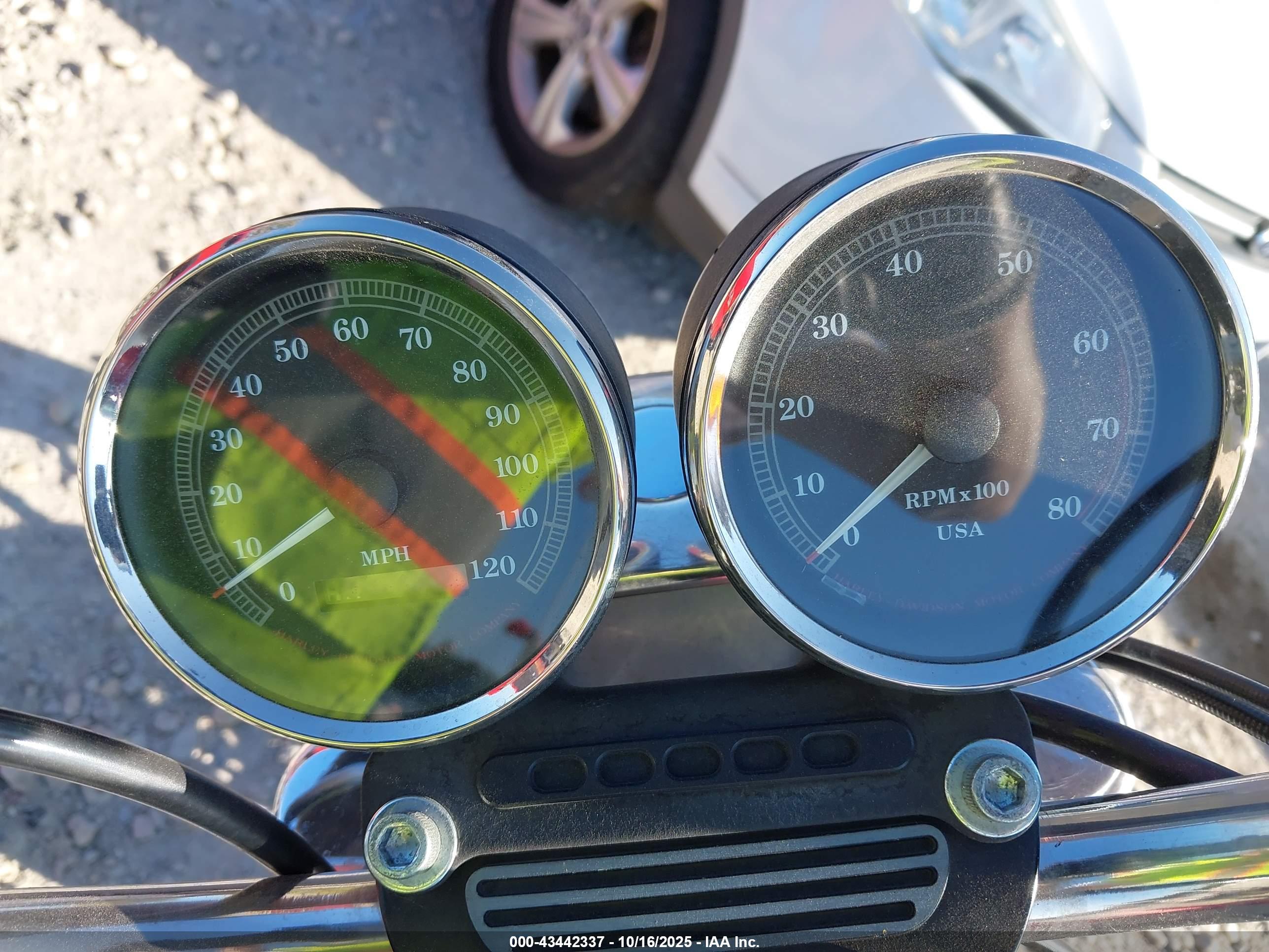 HARLEY-DAVIDSON XL1200 image 7
