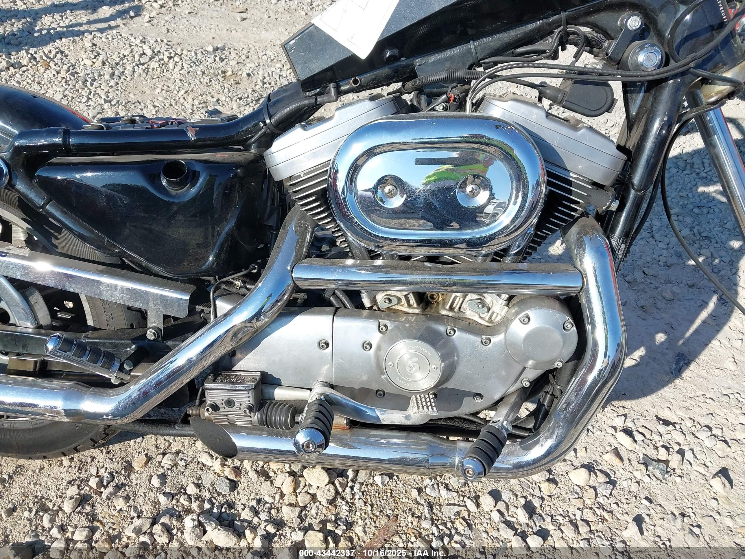 HARLEY-DAVIDSON XL1200 image 8