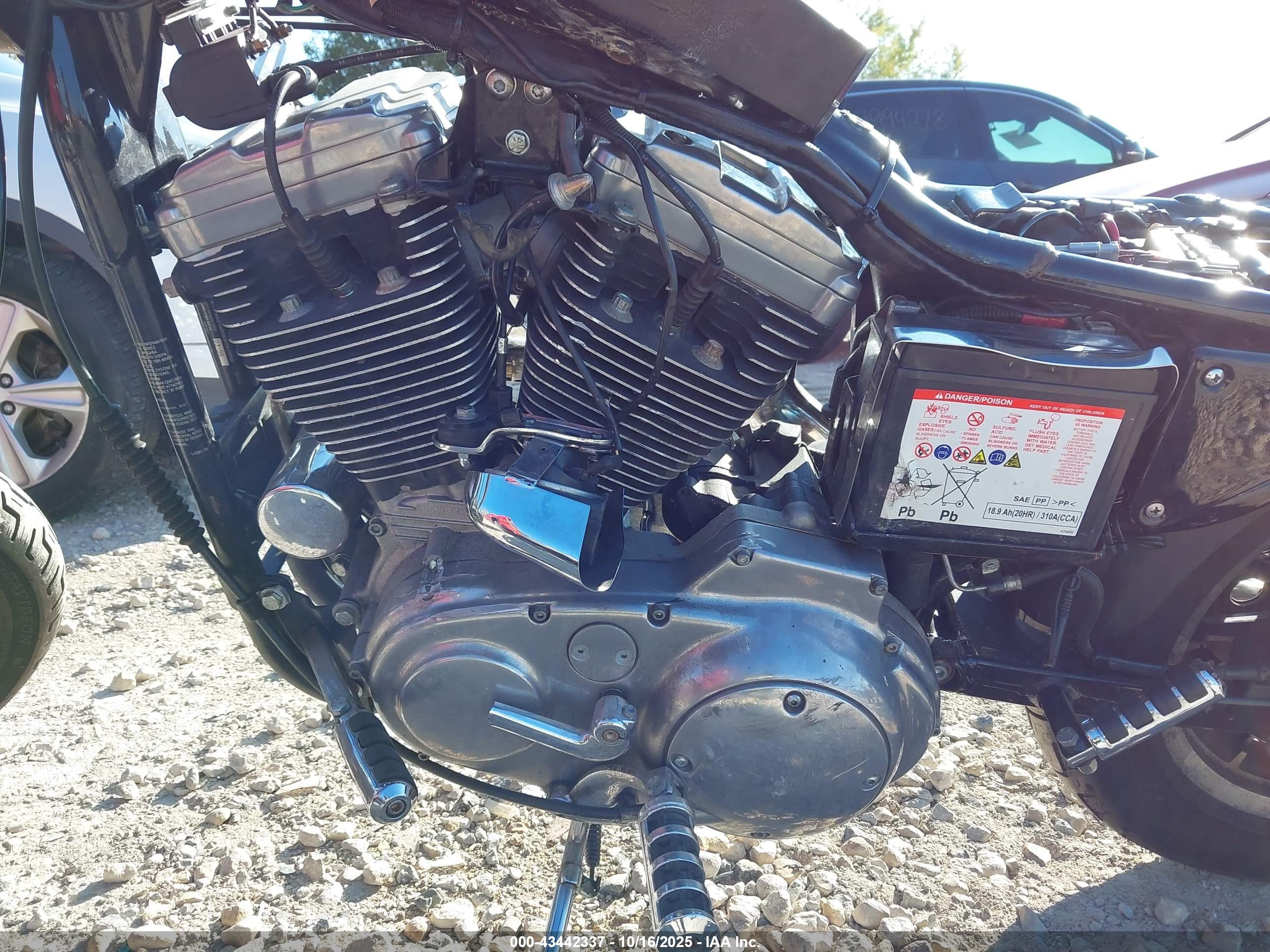 HARLEY-DAVIDSON XL1200 image 9