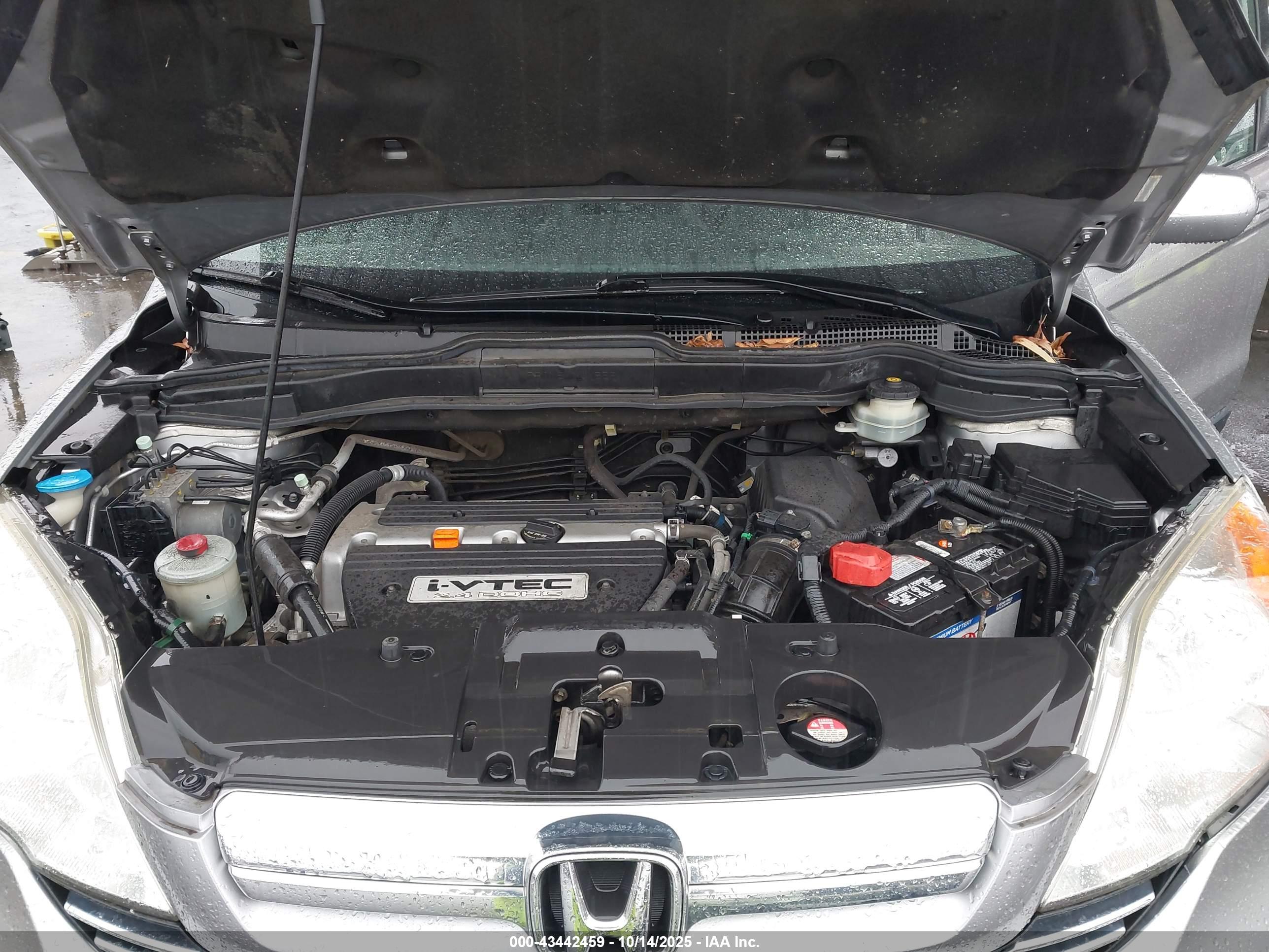 HONDA CR-V image 10
