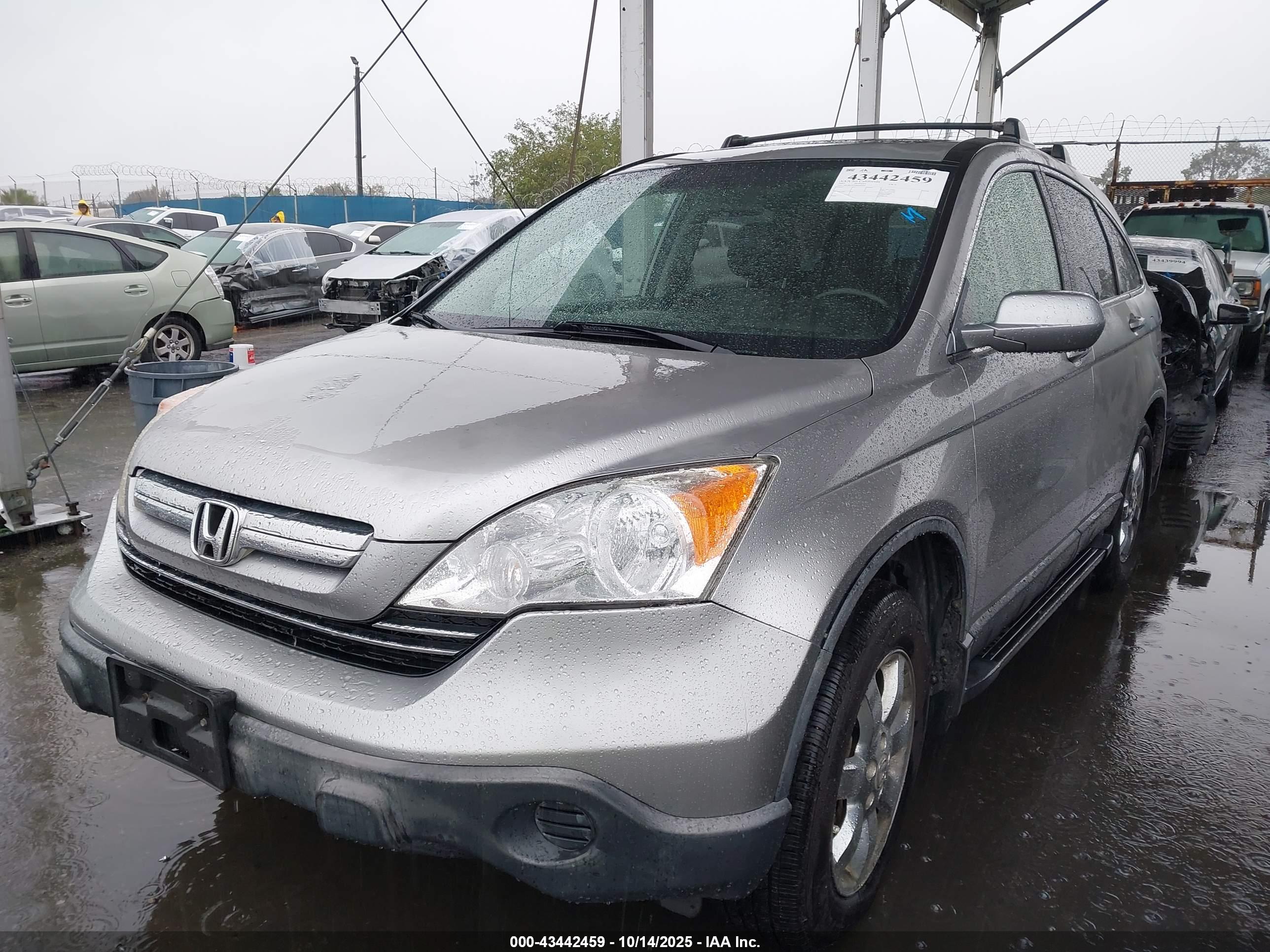 HONDA CR-V image 2