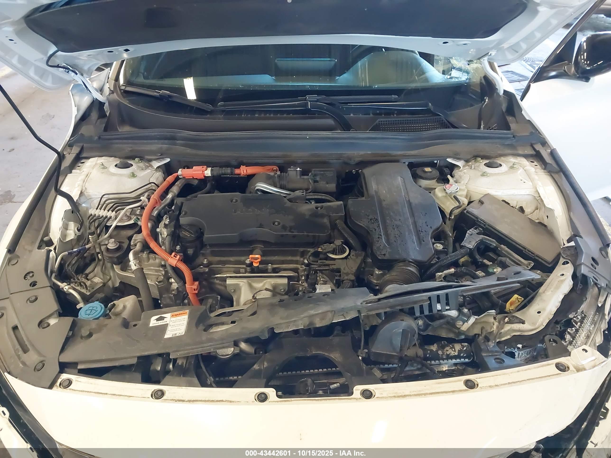 HONDA ACCORD image 10