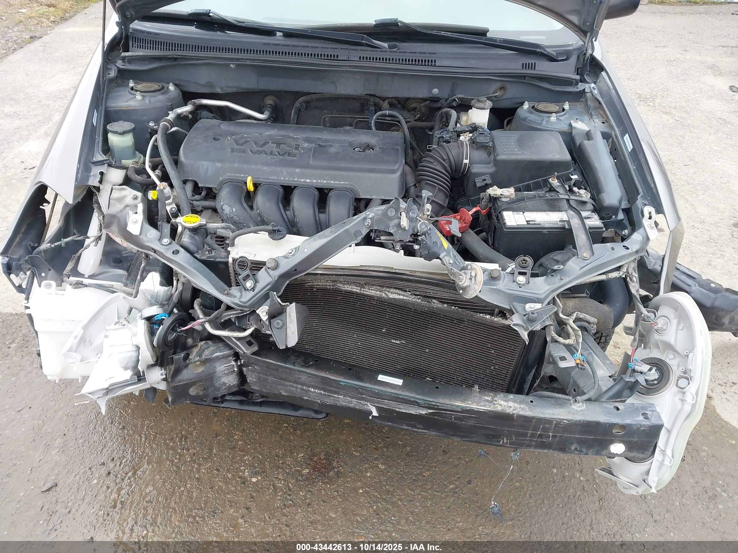 TOYOTA COROLLA image 10