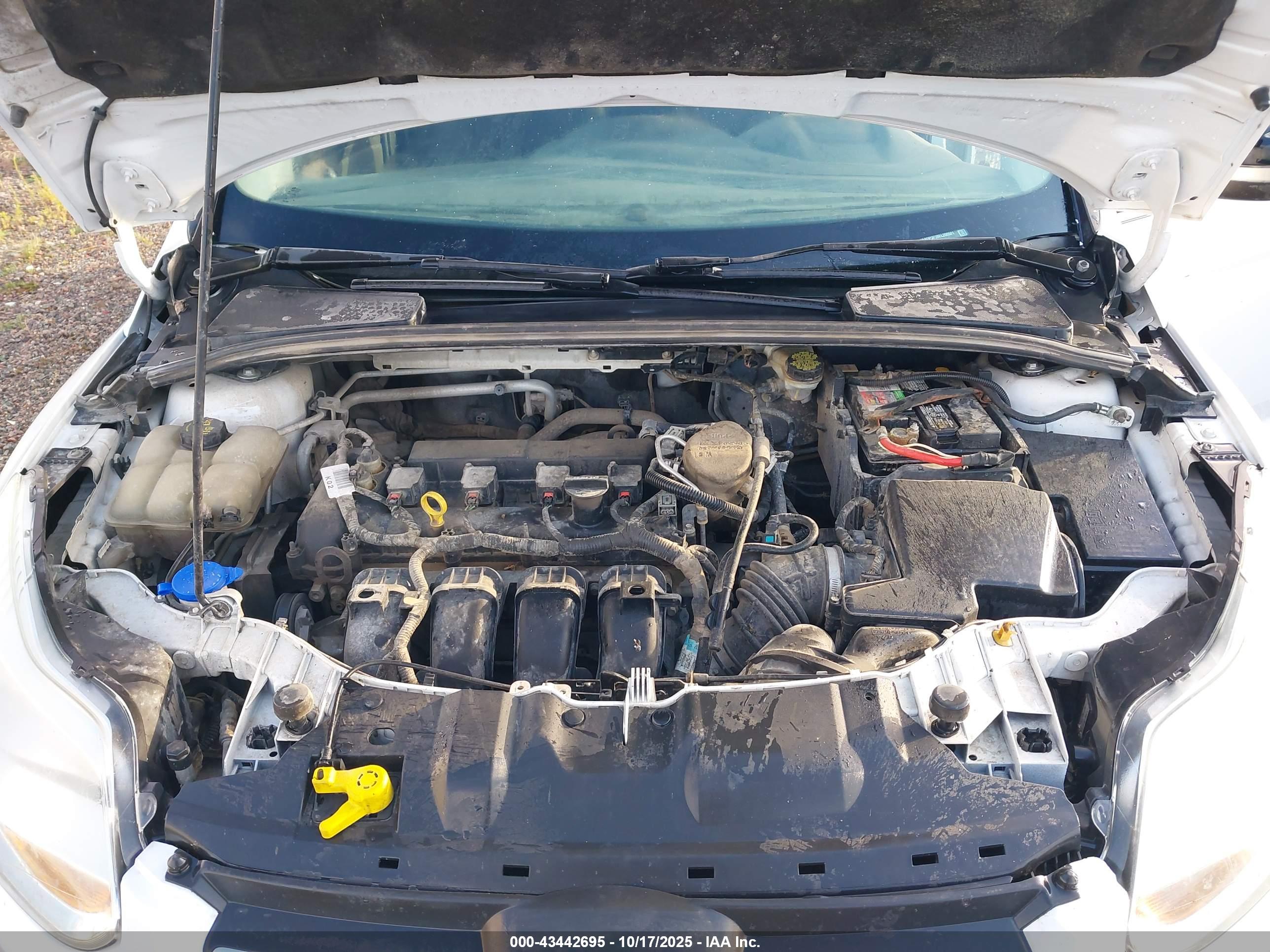 FORD FOCUS image 10
