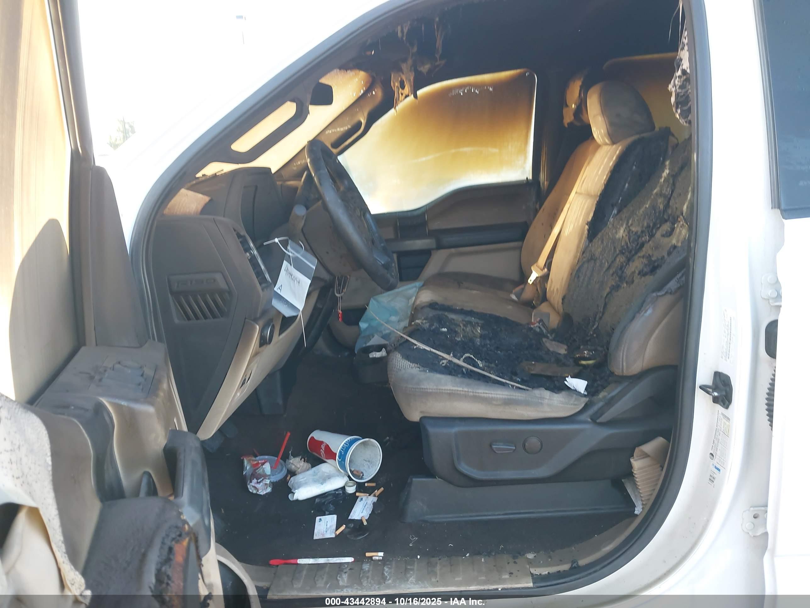 FORD F-150 image 5