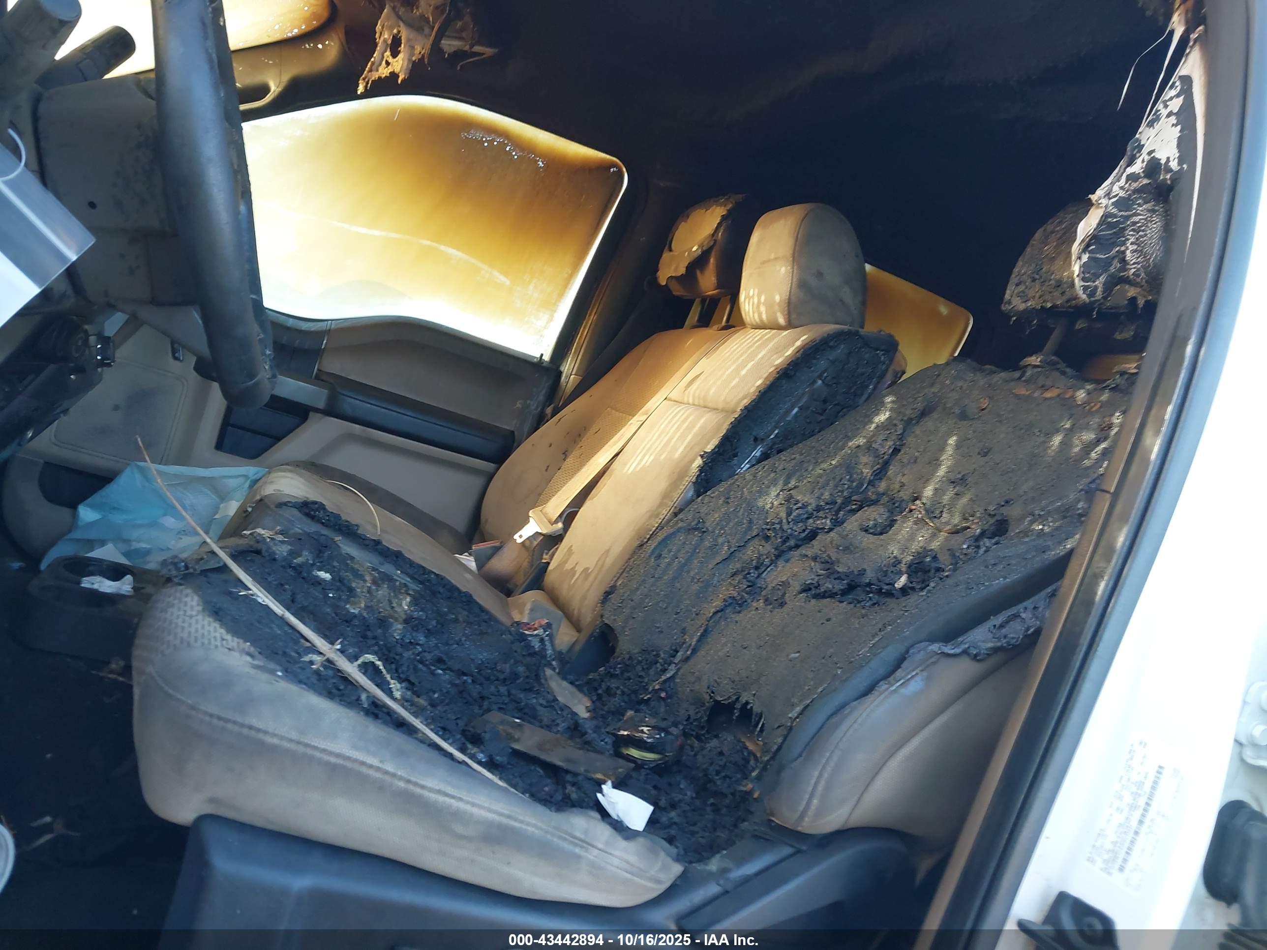 FORD F-150 image 6