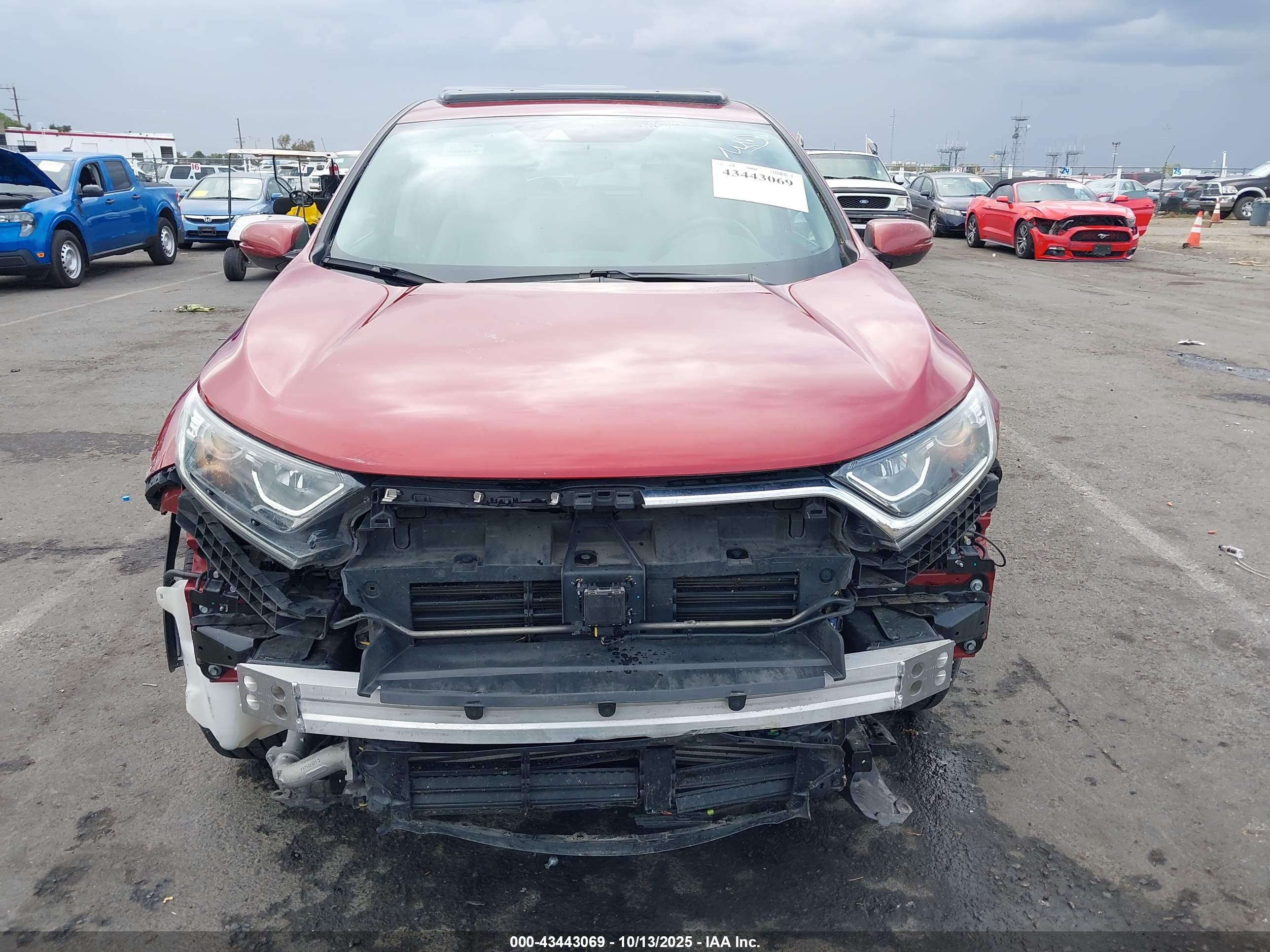 HONDA CR-V image 6