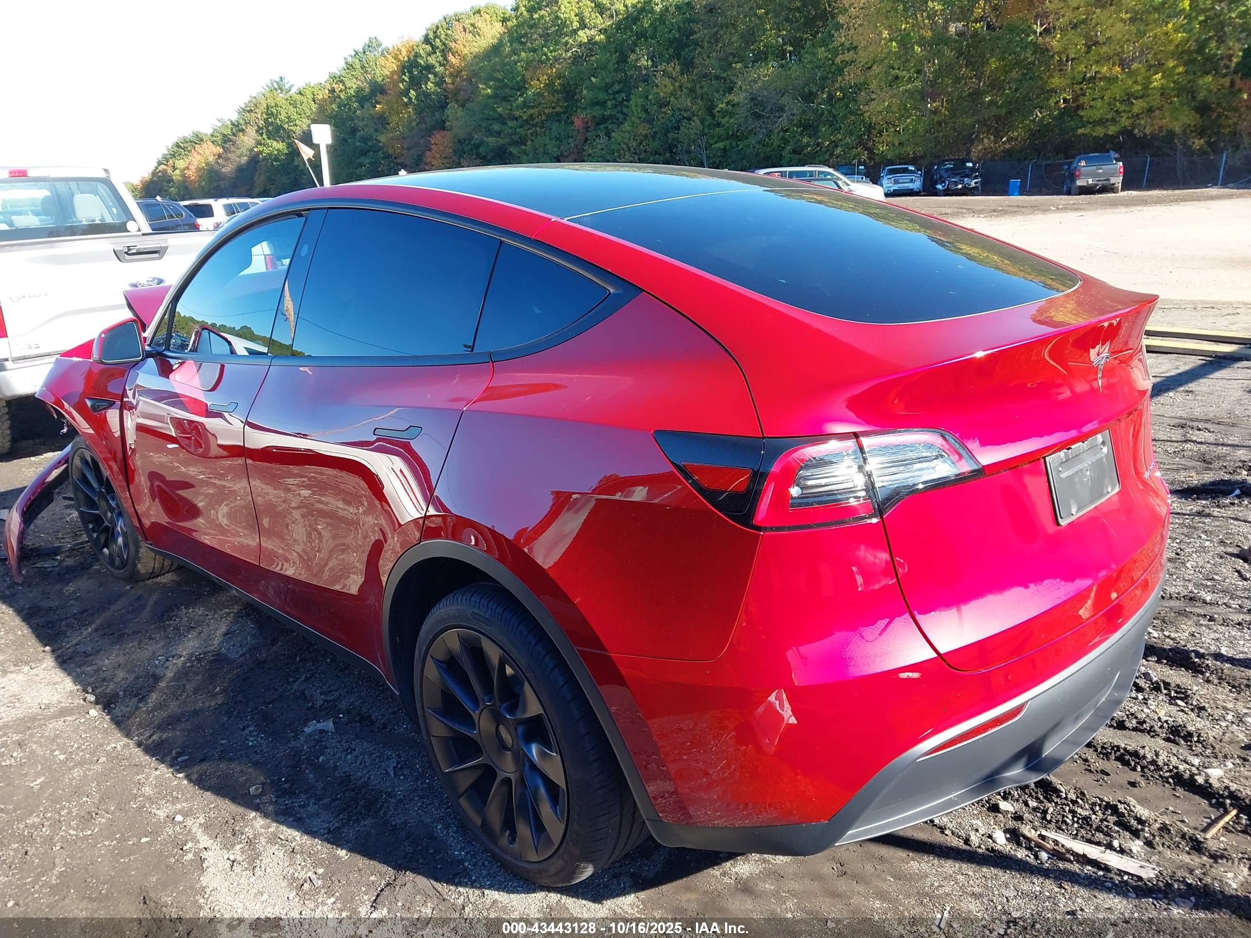 TESLA MODEL image 3