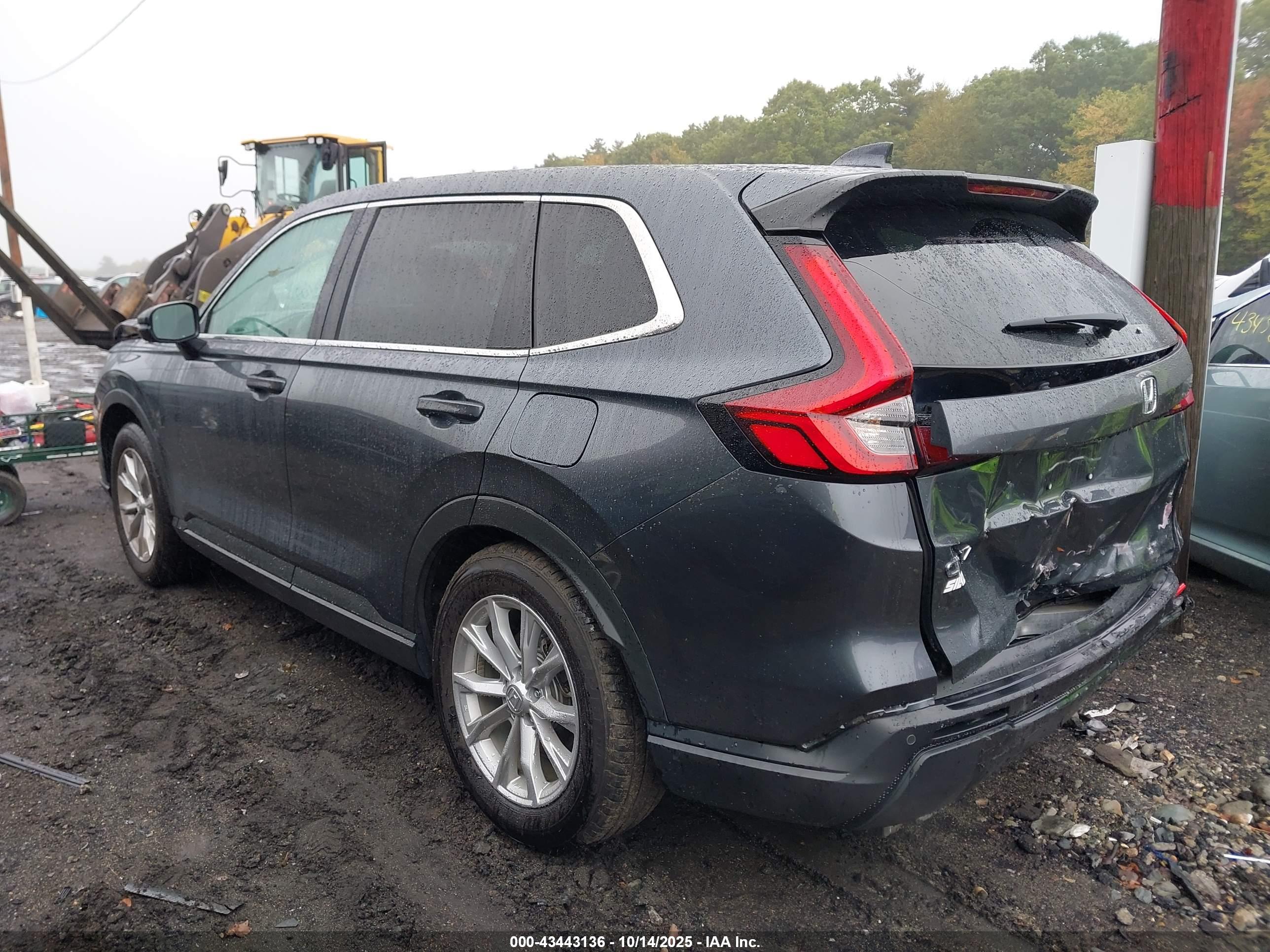 HONDA CR-V image 3