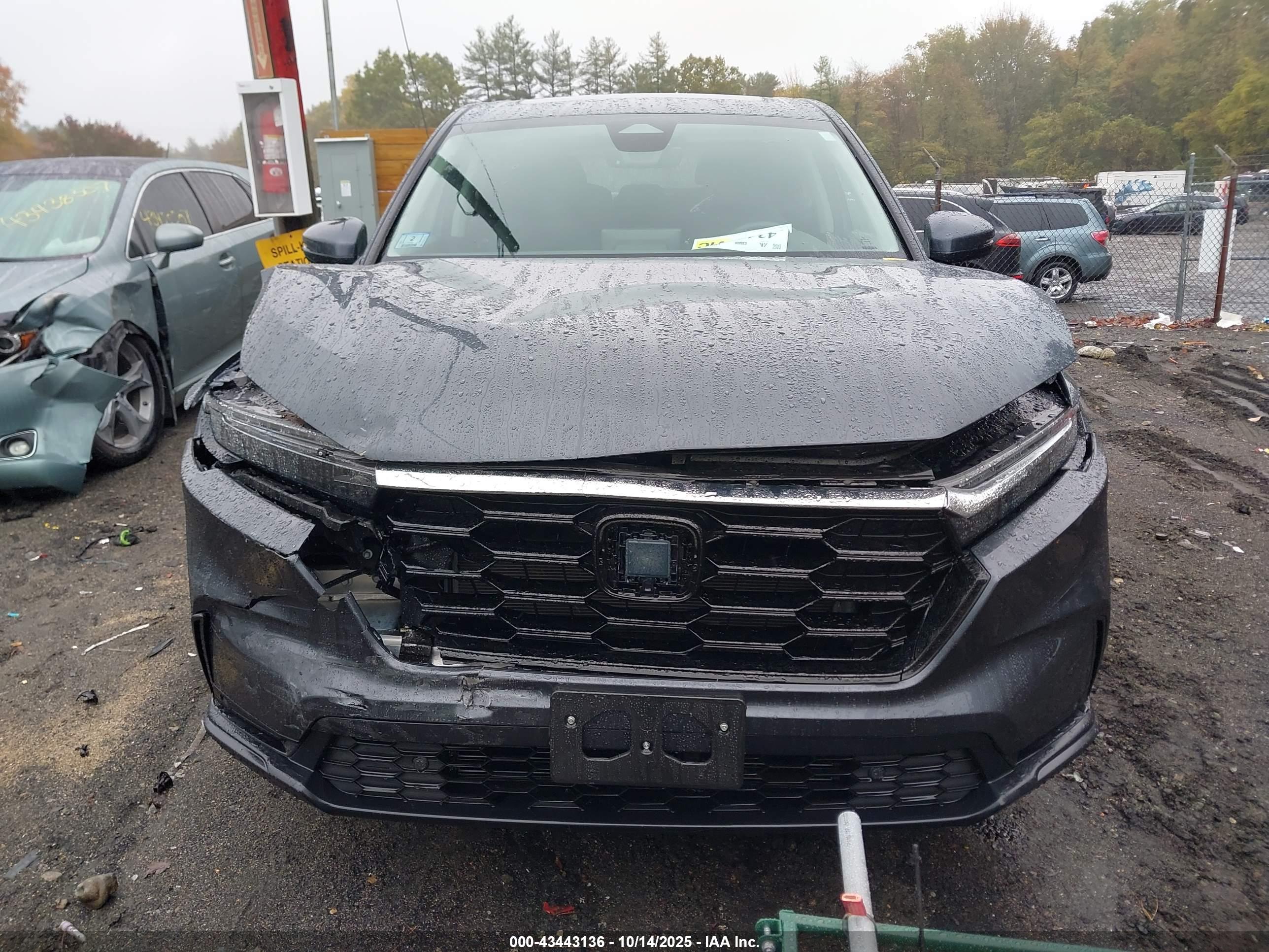 HONDA CR-V image 6