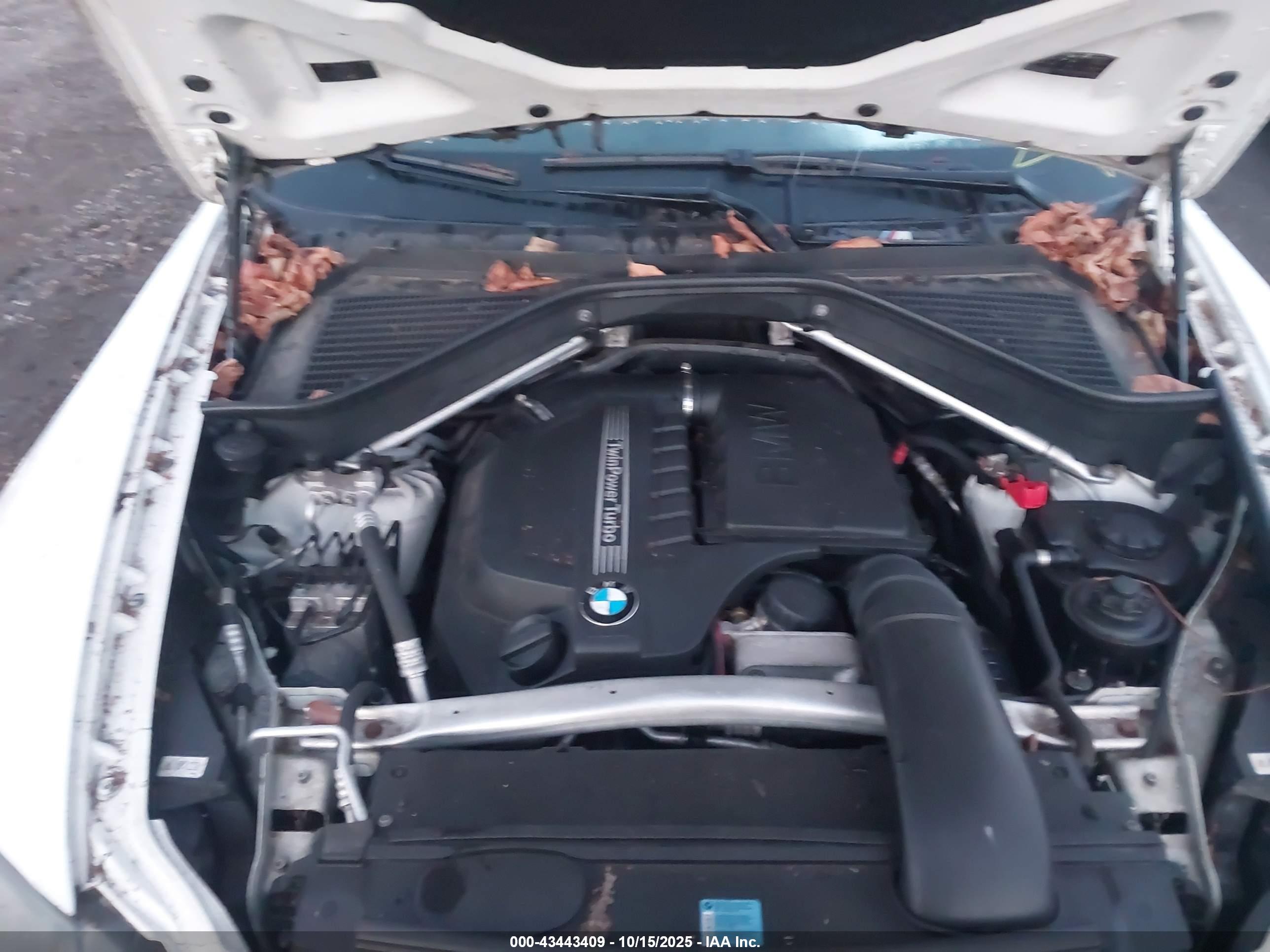 BMW X5 image 10