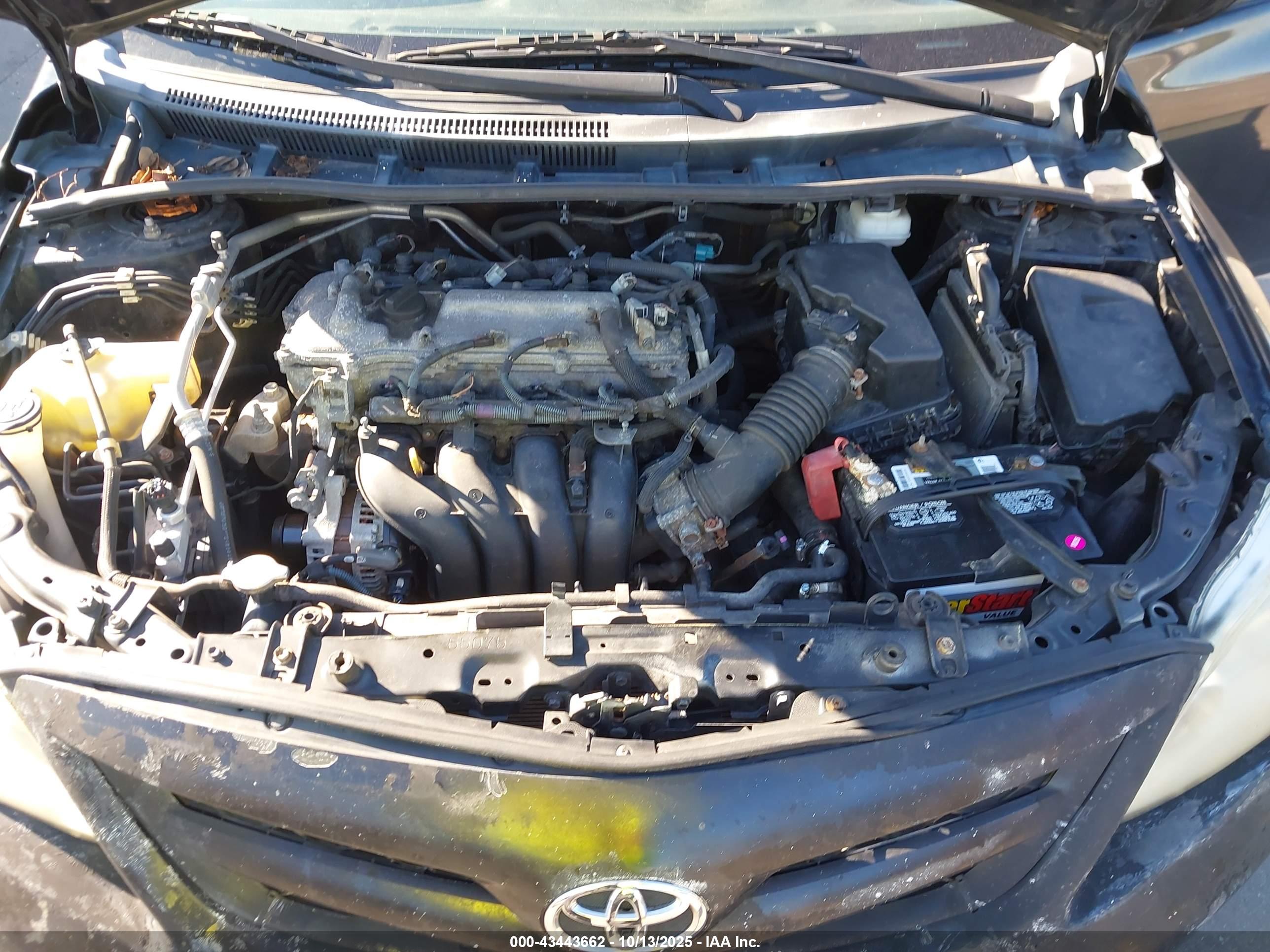TOYOTA COROLLA image 10