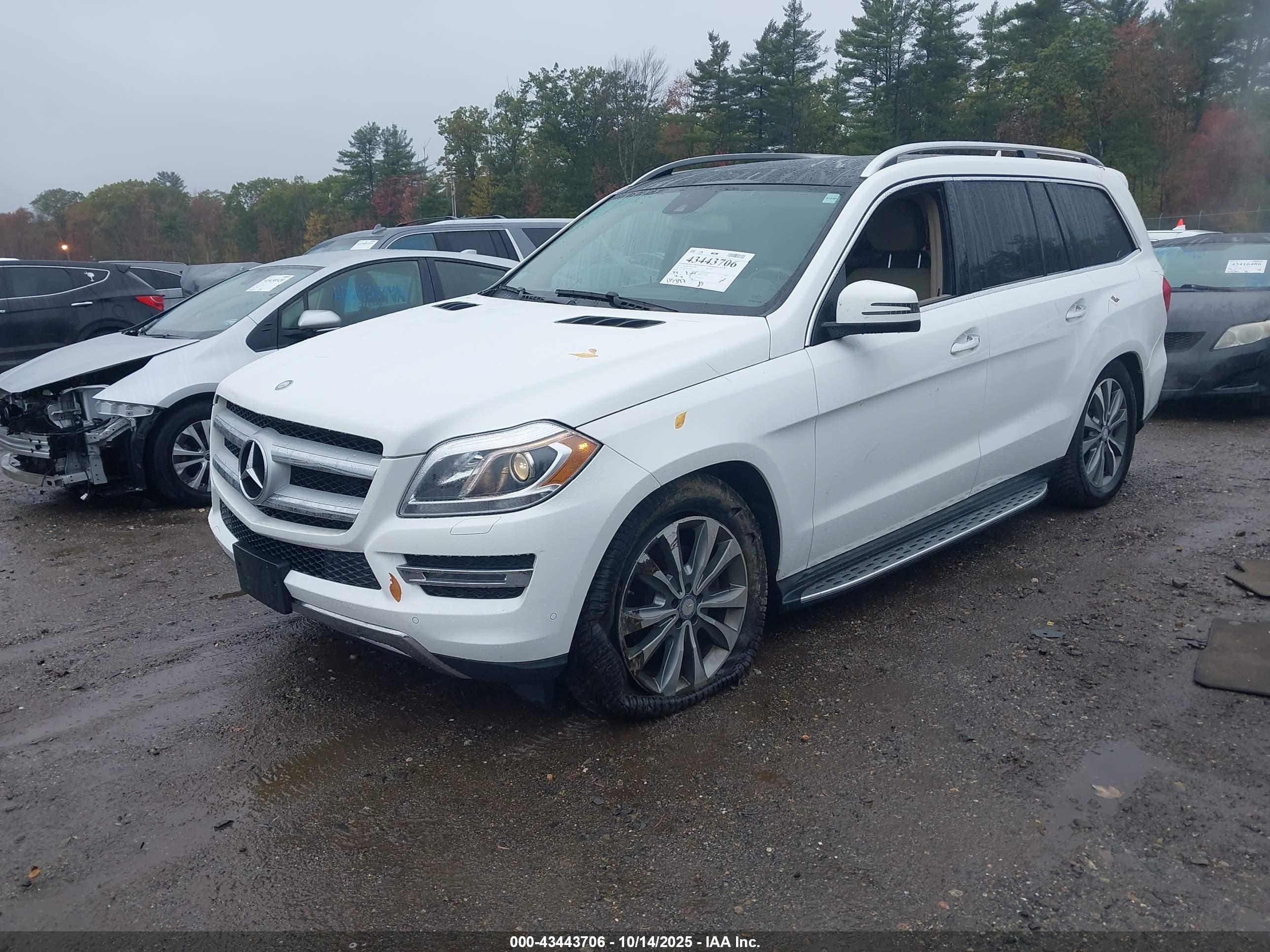 MERCEDES-BENZ GL image 2
