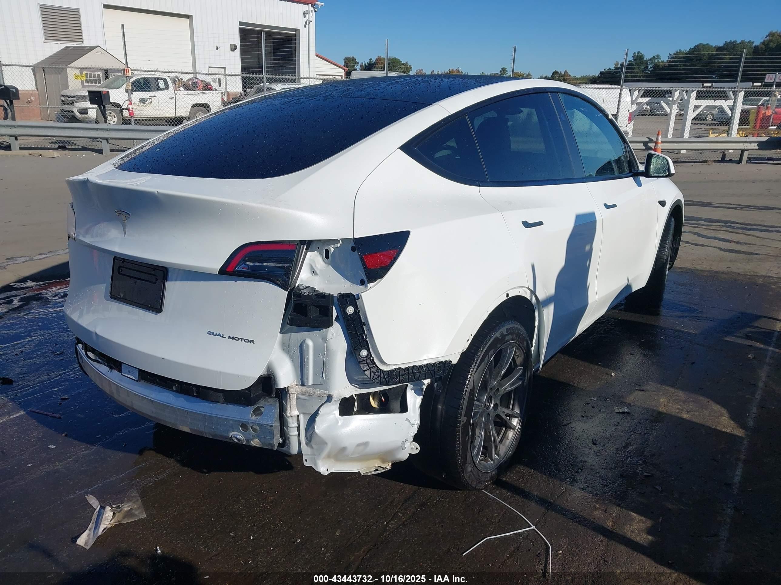 TESLA MODEL image 4