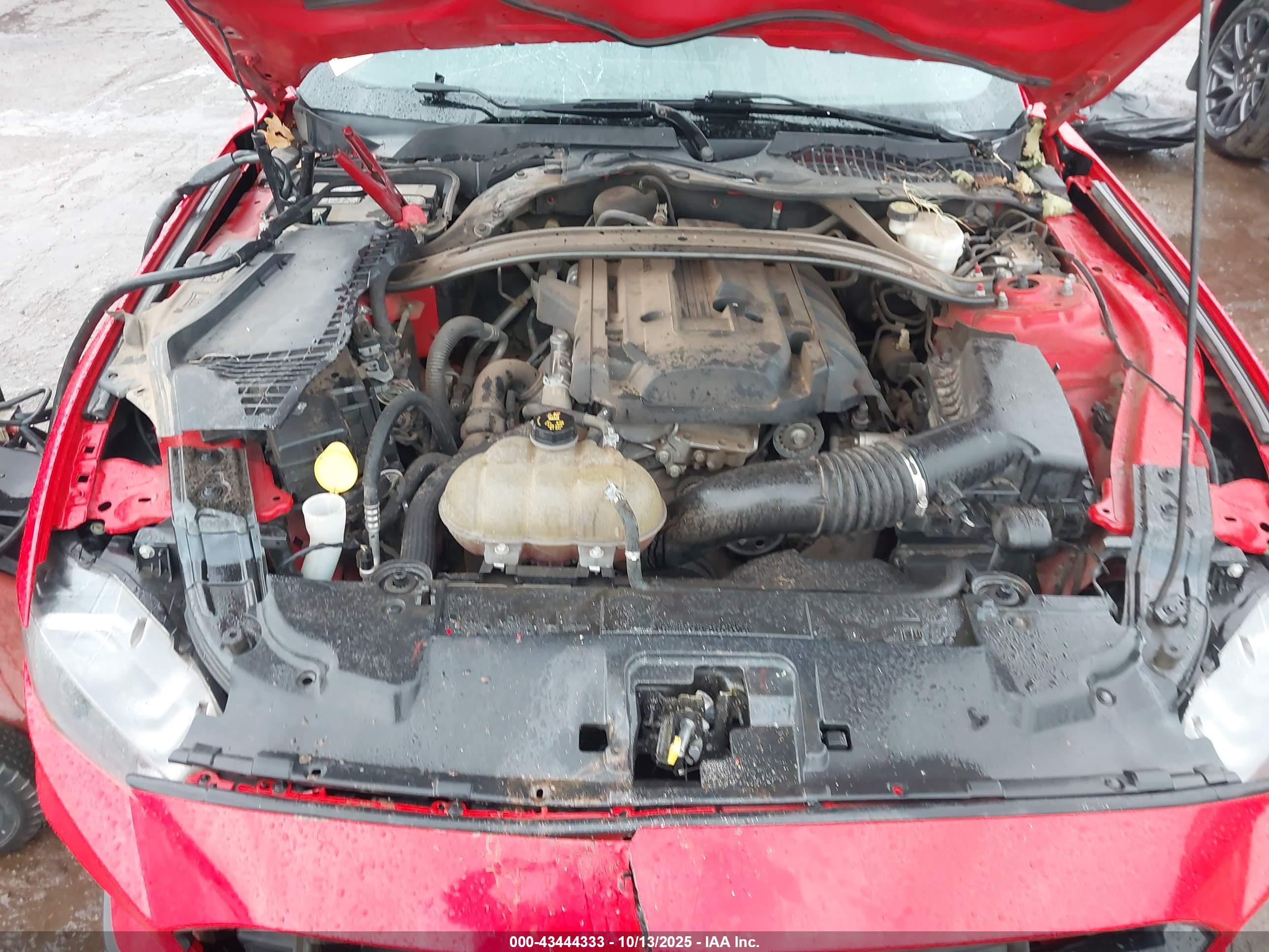 FORD MUSTANG image 10