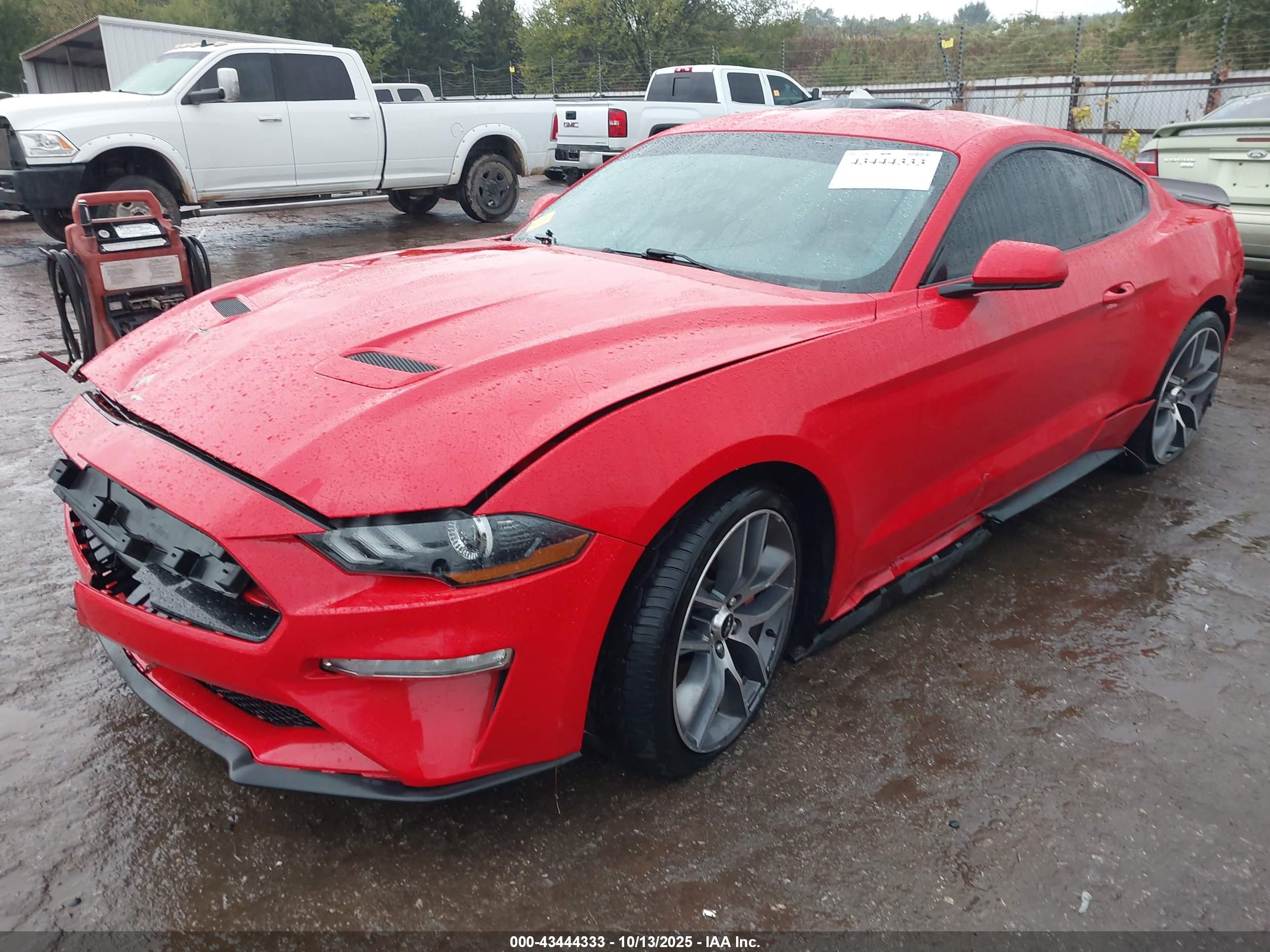FORD MUSTANG image 2