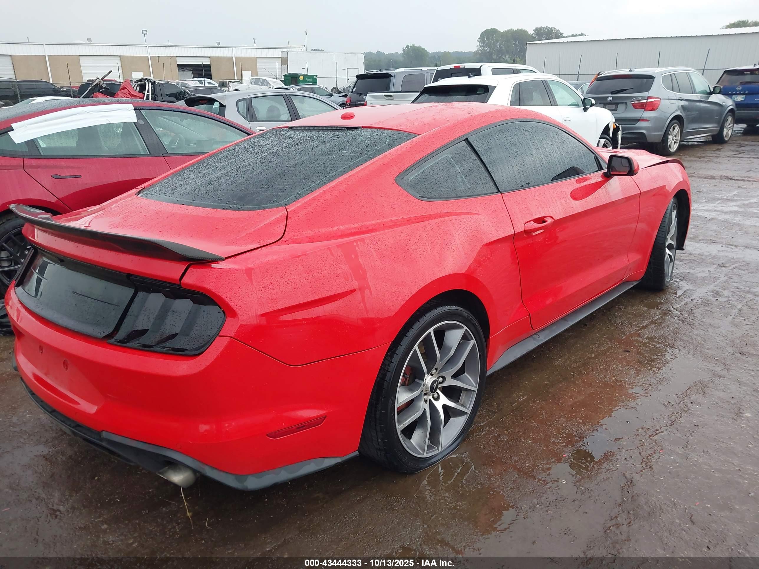 FORD MUSTANG image 4